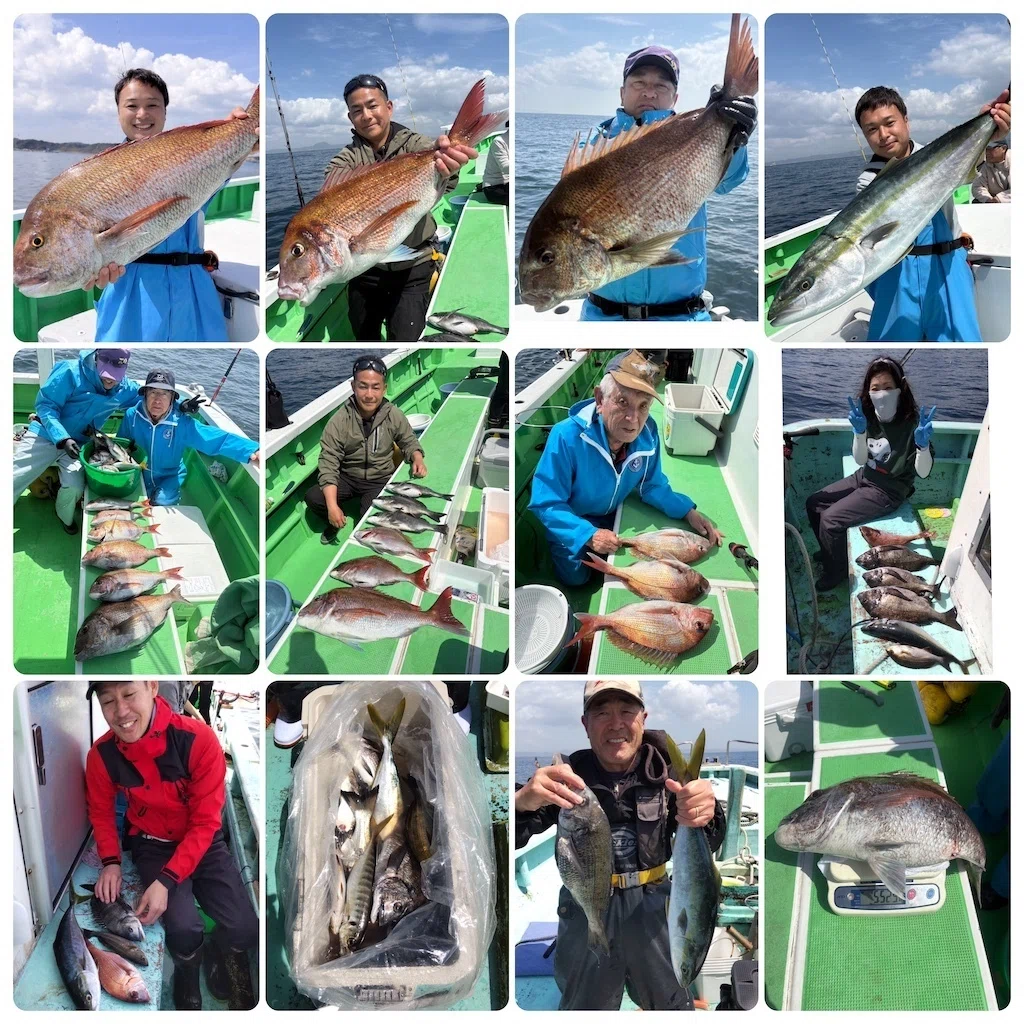 マダイ】最大5.5kg、さらに3kg級ヒット！8kgブリも食いついた！！黒鯛