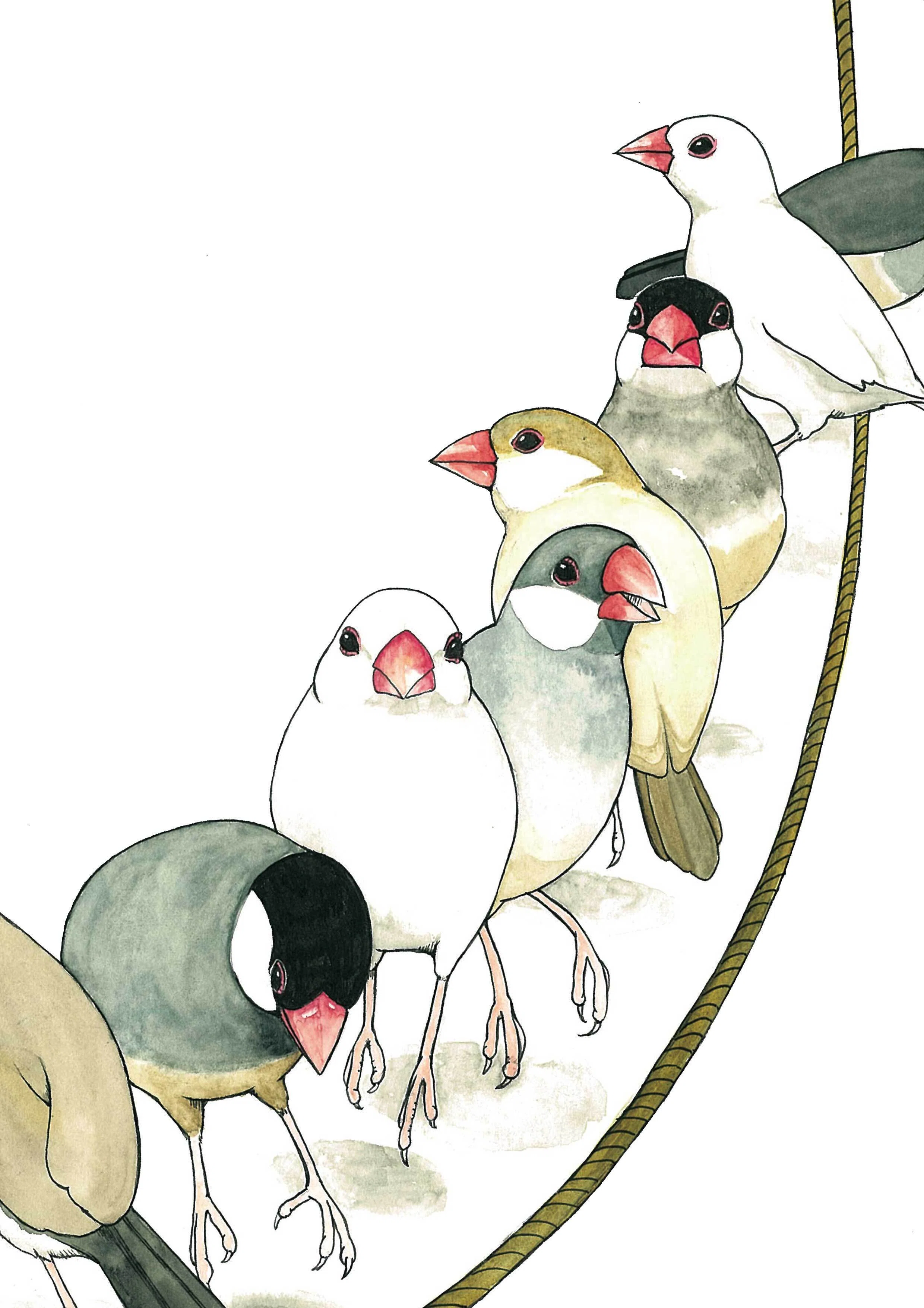 絵本】ことりのしっぱいがくげいかい｜鳥と獣