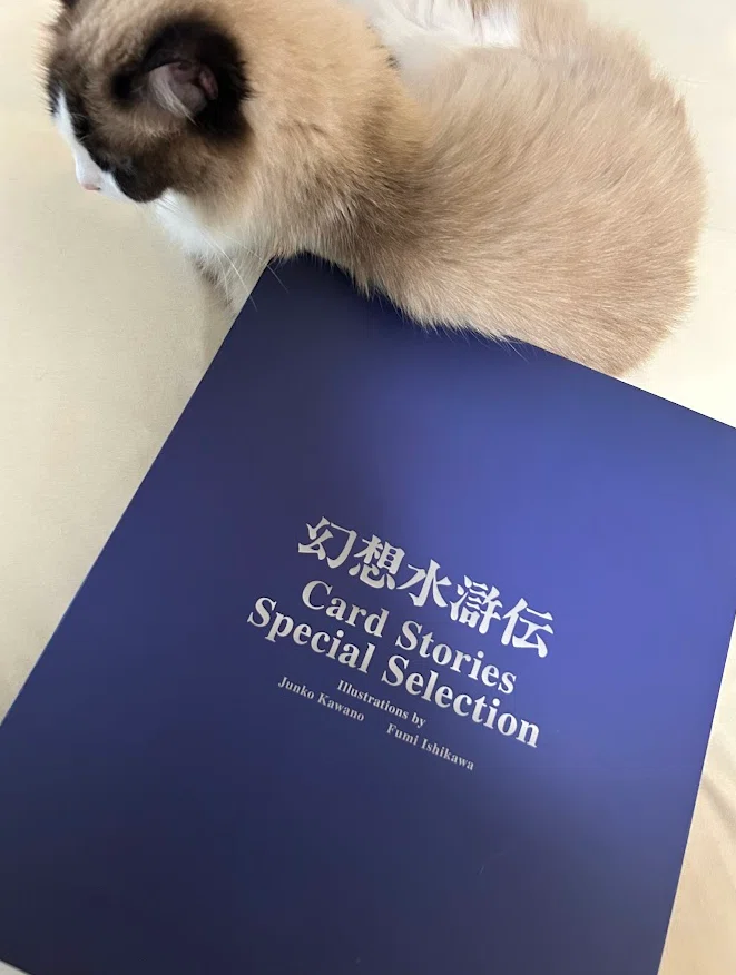 幻想水滸伝カードストーリーズ スペシャルセレクションが届いたので