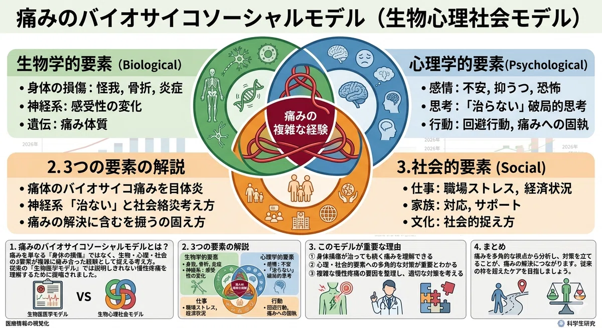 Starting Strength』は名著だが「教科書」ではない——マーク
