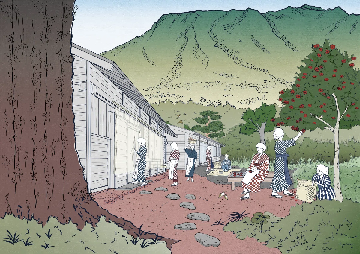 画像