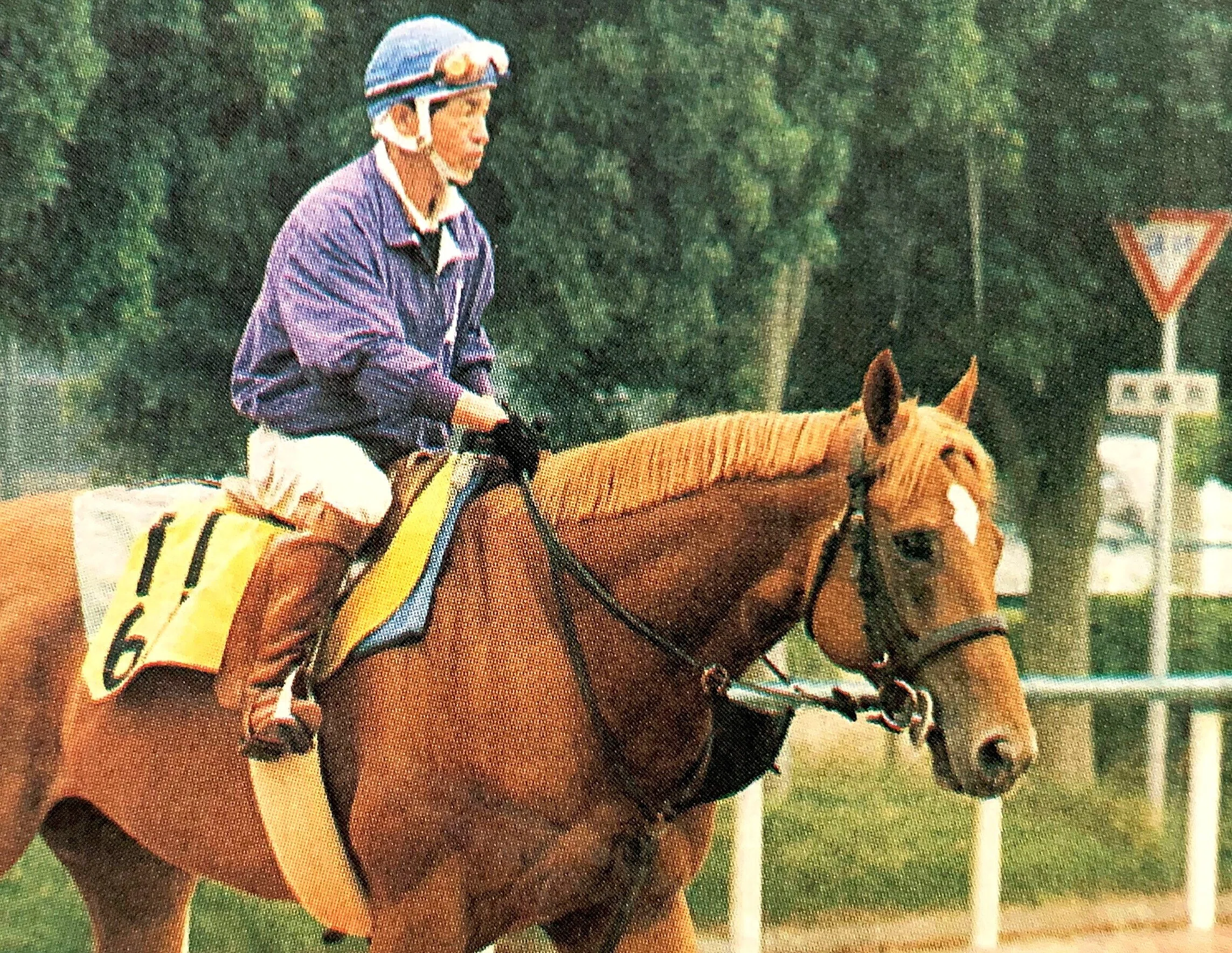 中央競馬(JRA)年度代表馬【1983年度～1998年度】写真16枚セット タイキシャトルが制したジャックルマロワ賞（GⅠ、1998年）｜平松