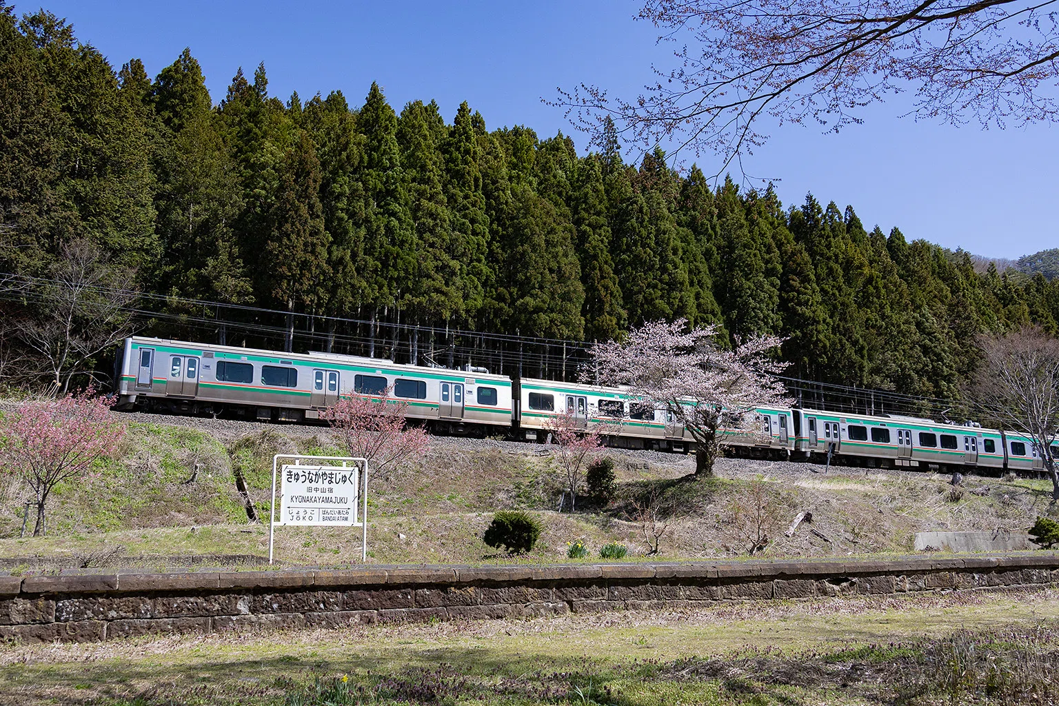v264, 磐越西線：SLしあわせの風ふくしま号ー復路編 （2026年）｜ひろやん