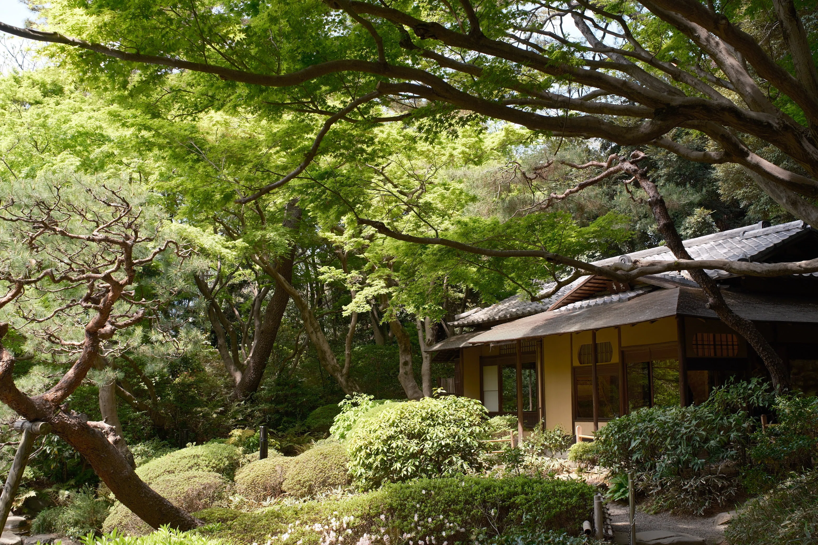 白金台・建築散歩①】X-T30 IIIで撮る東京都庭園美術館「建物公開2026