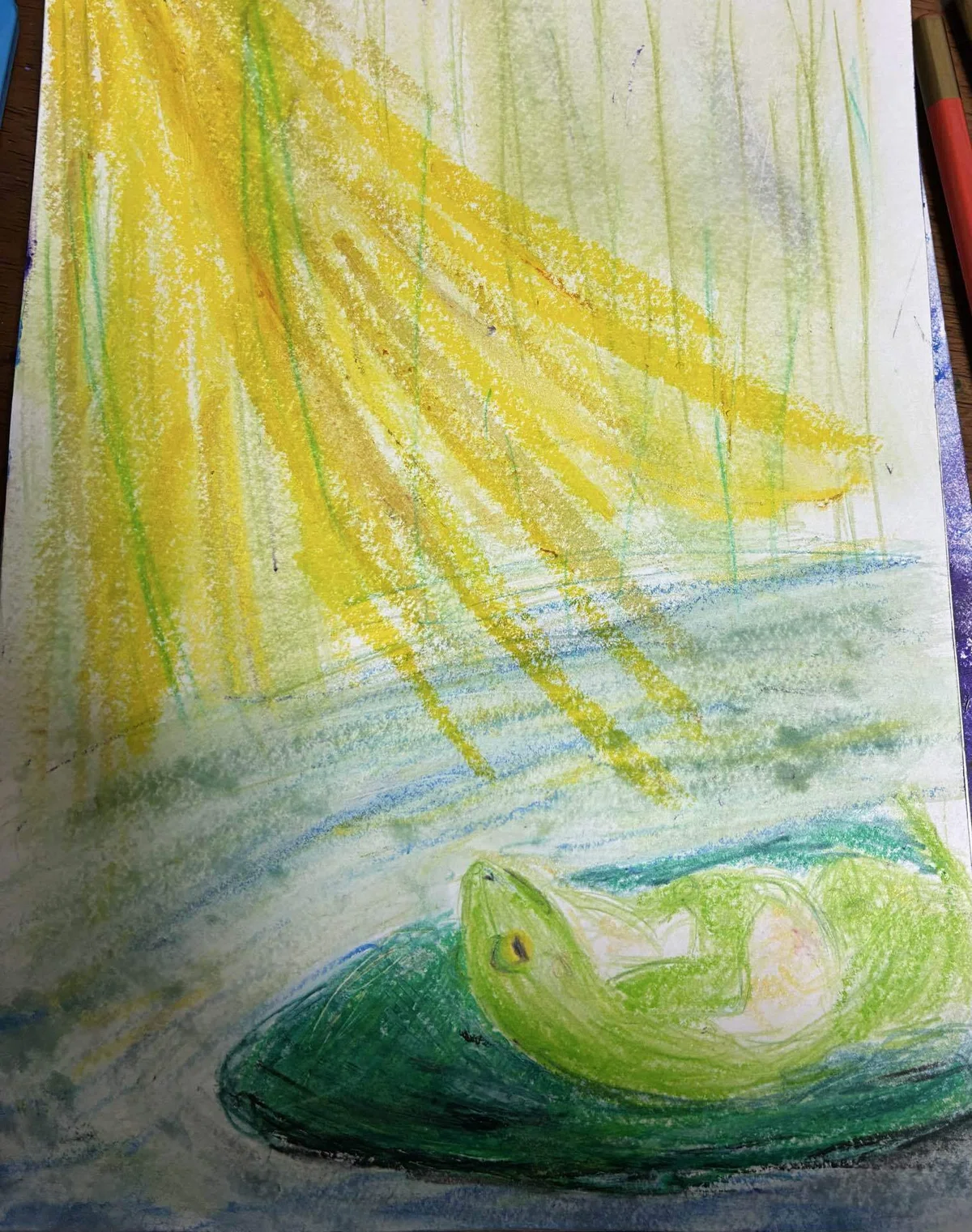 画像