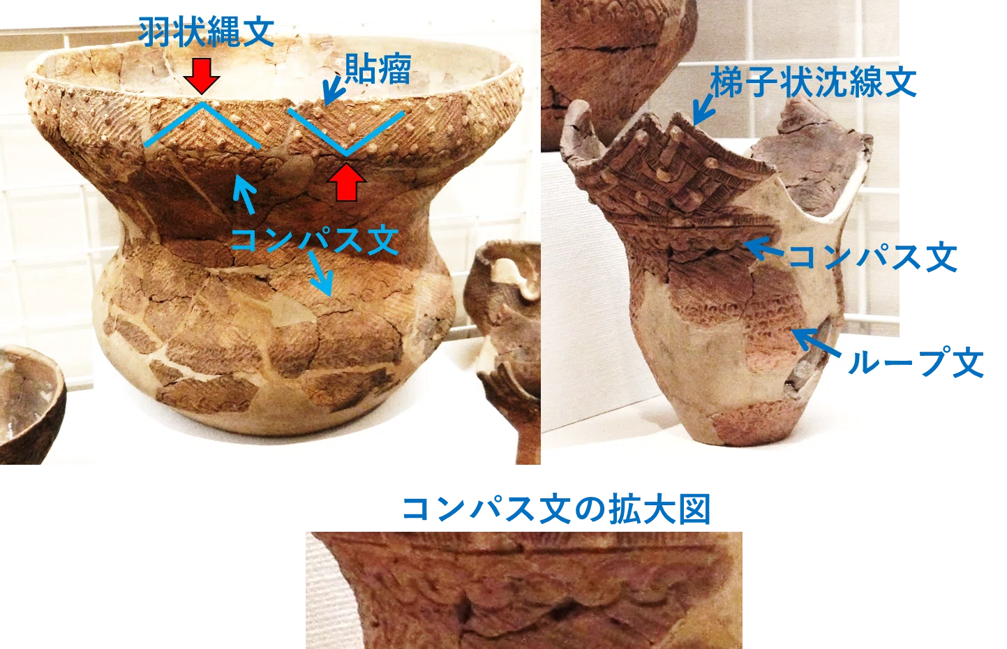 ここのねこ様「縄文土器の文様の謎①」への回答 ～ 前期縄文土器の