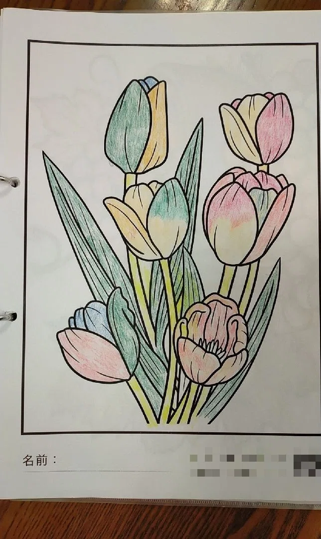 Tulip Realizations and Encounters｜DJマー太郎