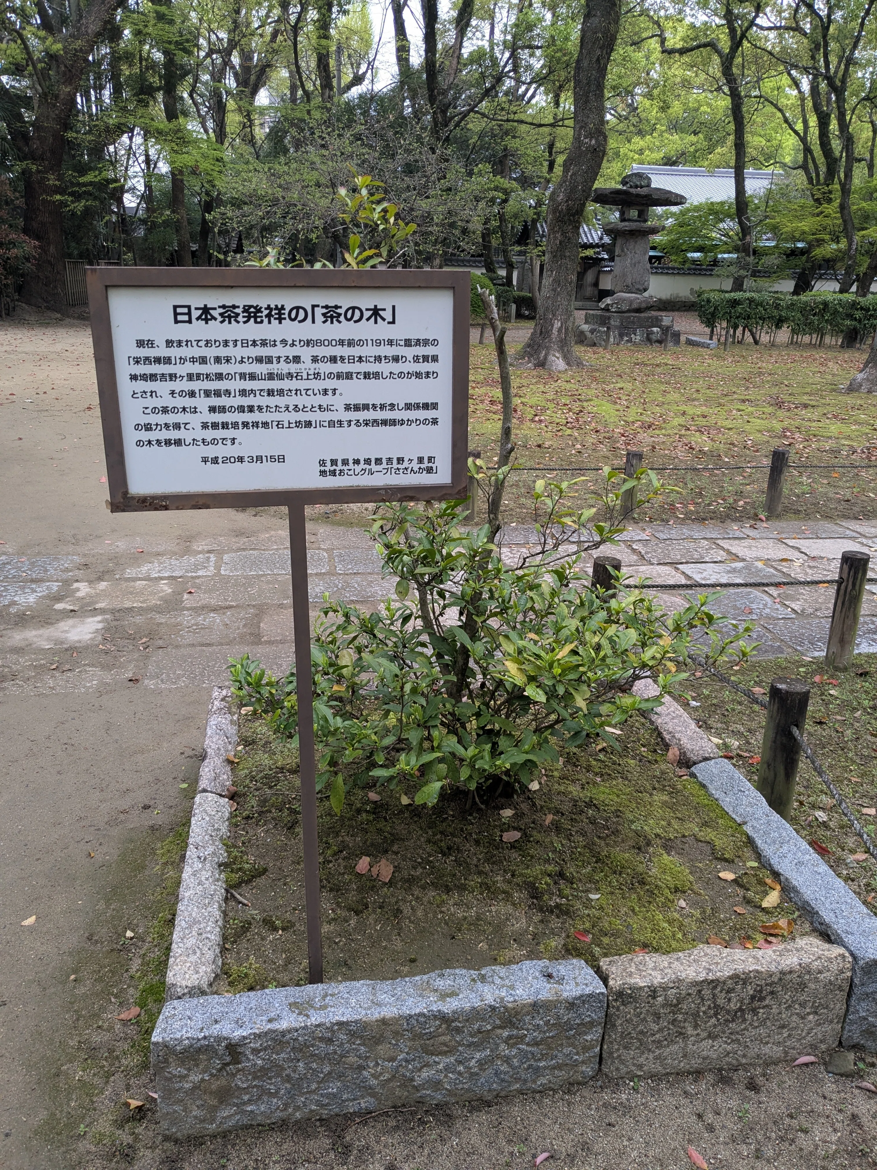 喫茶養生記 煎茶 両足院蔵板 栄西 公式通販 茶道 和本 |本 通販 喫茶
