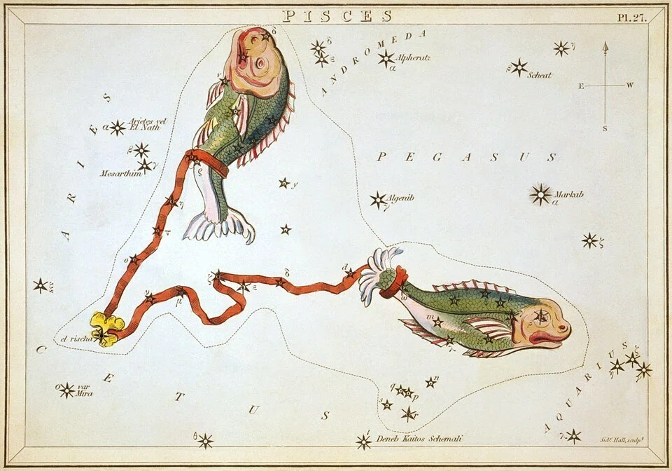 第94講】メソポタミアの大河と親子の絆。黄道12星座「魚座（Pisces