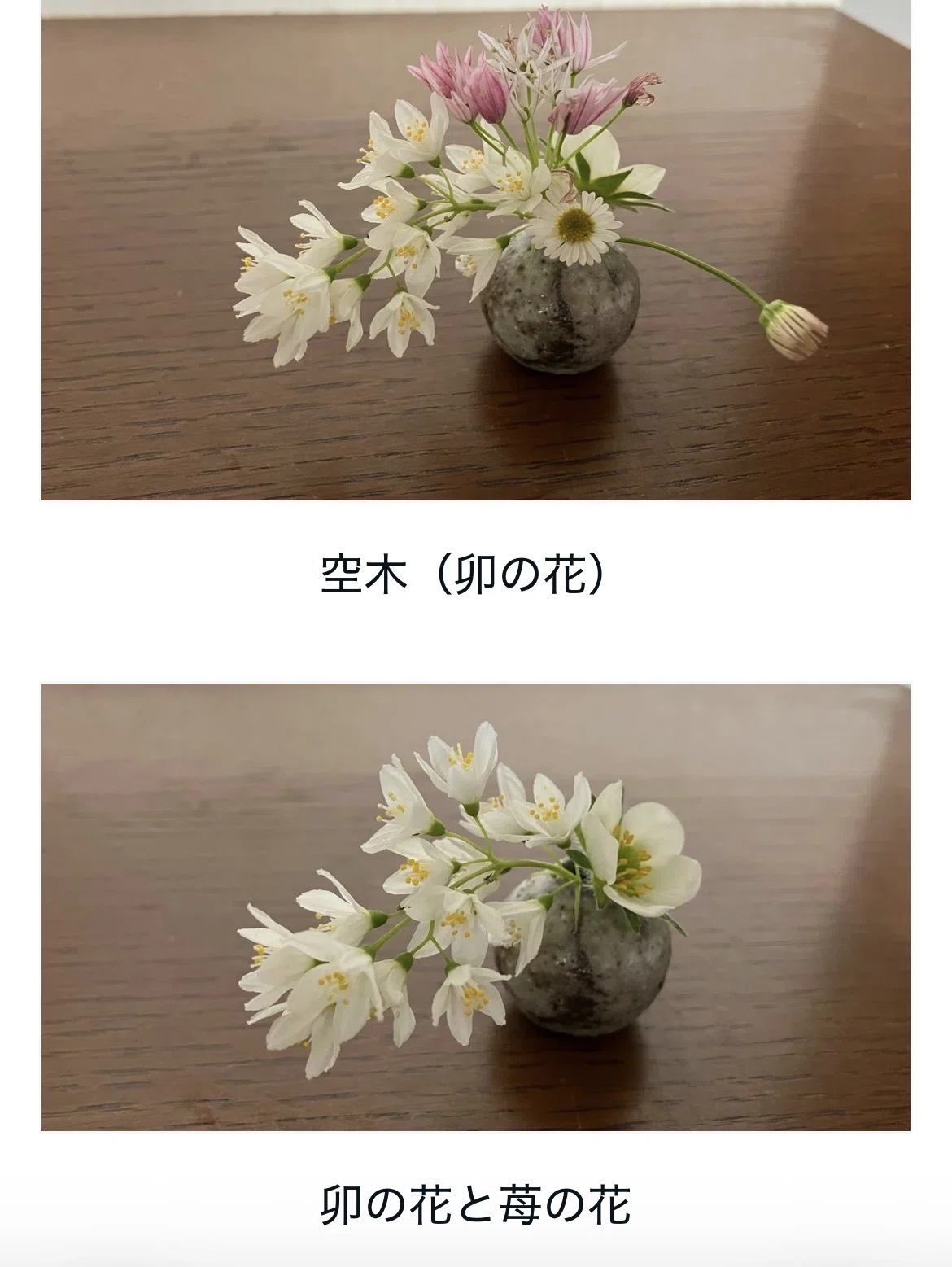 ツツジが満開♡ミニチュア生け花の会に入会しませんか？｜西野圭果♡