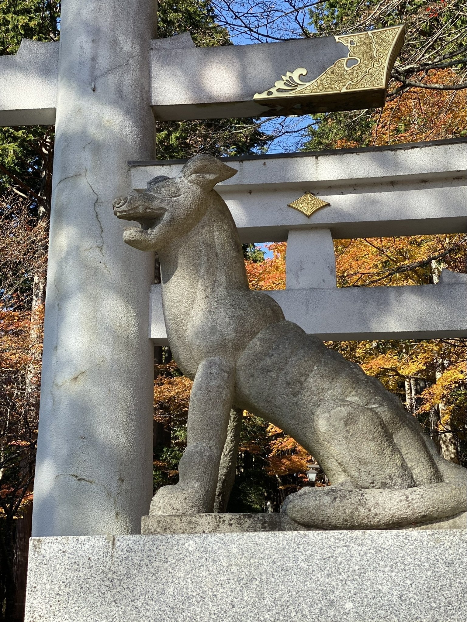 狼信仰と秩父〜奥多摩｜三峯神社・武蔵御嶽神社・寳登山神社を貫く