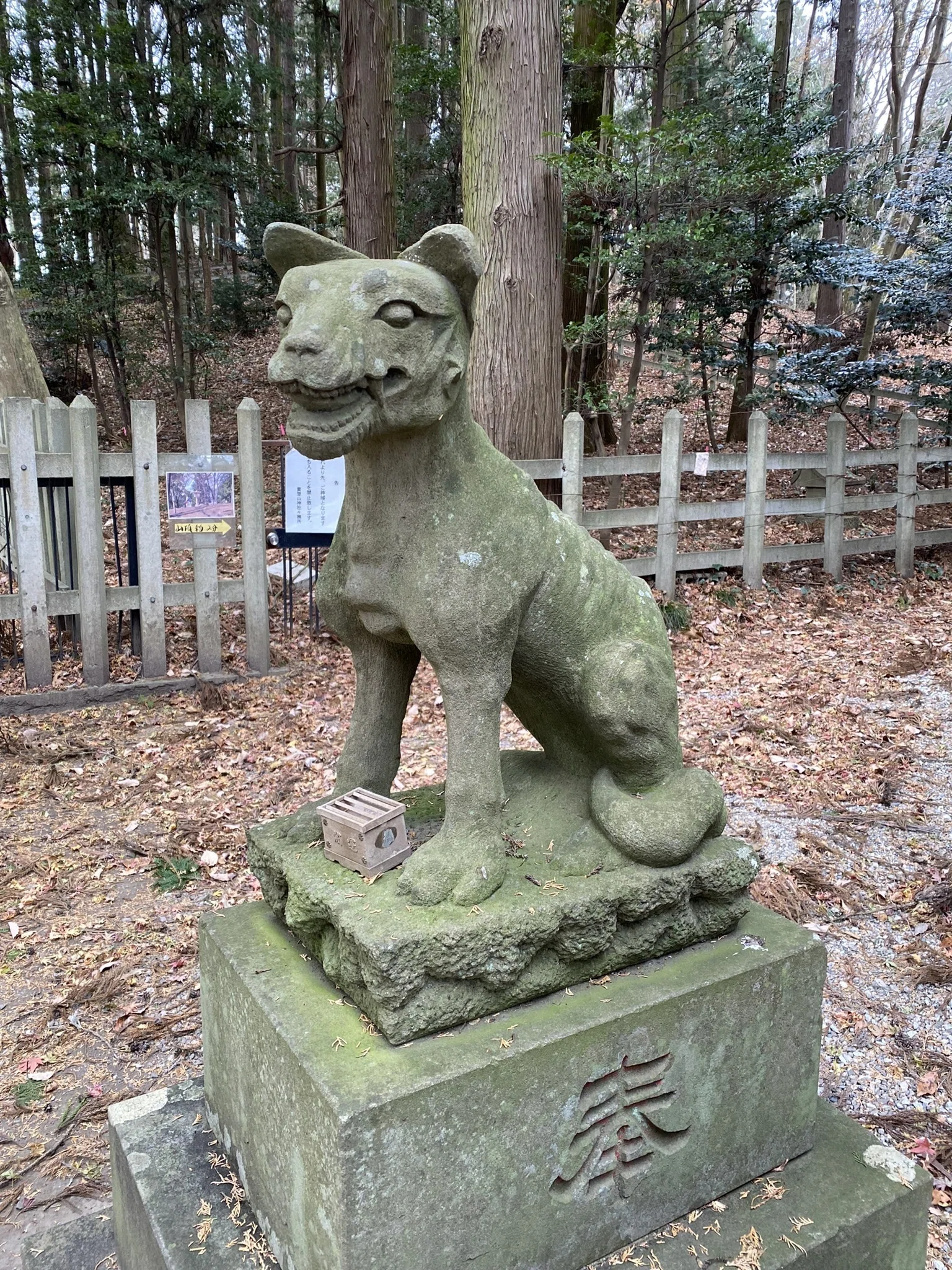 狼信仰と秩父〜奥多摩｜三峯神社・武蔵御嶽神社・寳登山神社を貫く
