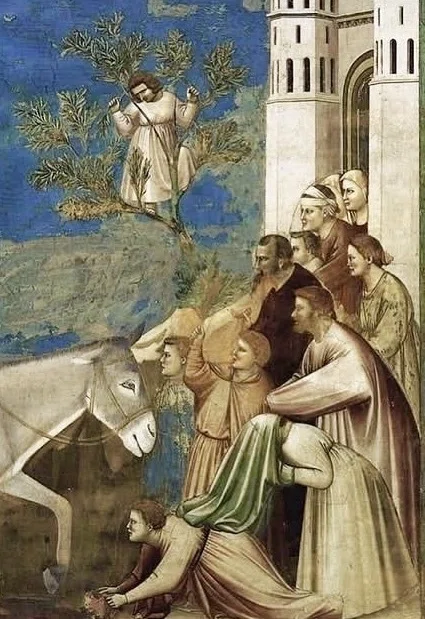 ジョット・ディ・ボンドーネ｜Giotto di Bondone｜はりねずみ