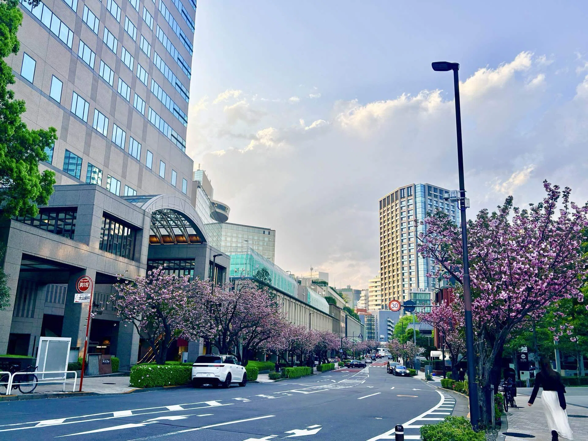 日本庭園の美〜ホテルニューオータニ 東京「夜桜」ライトアップin