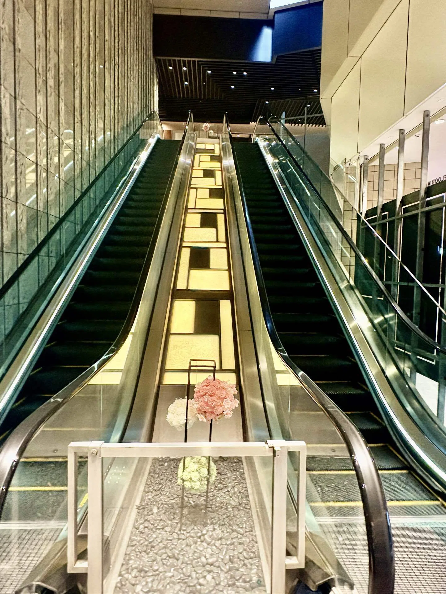 日本庭園の美〜ホテルニューオータニ 東京「夜桜」ライトアップin
