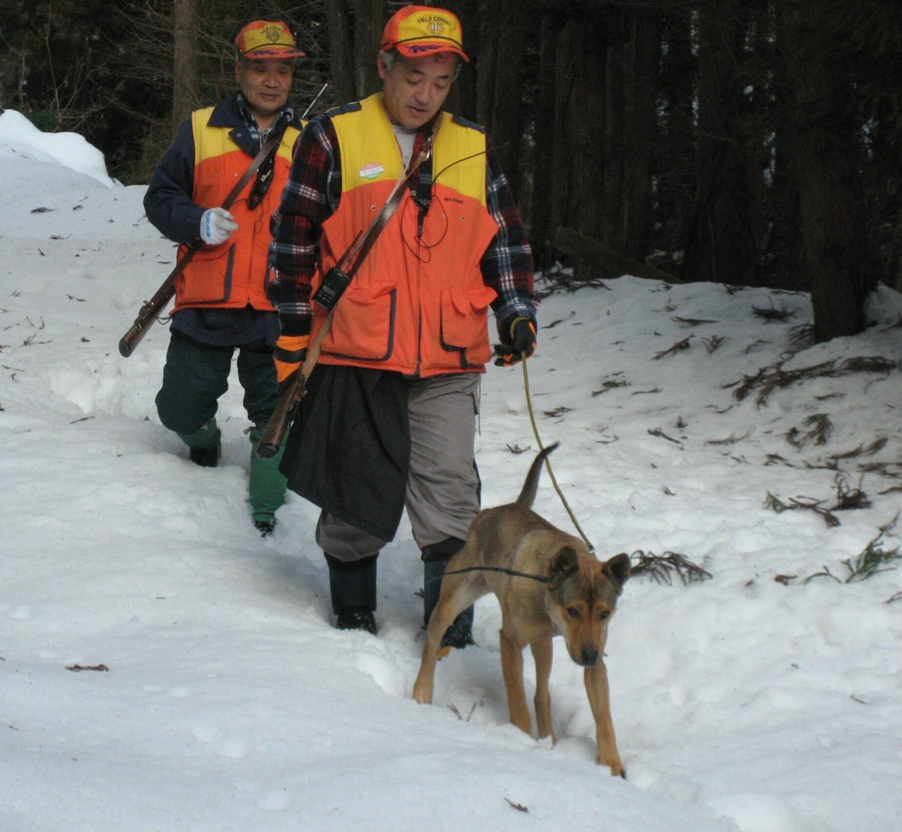 猟犬の不思議な能力を探る「最良の友」が支える狩猟｜中山道雄