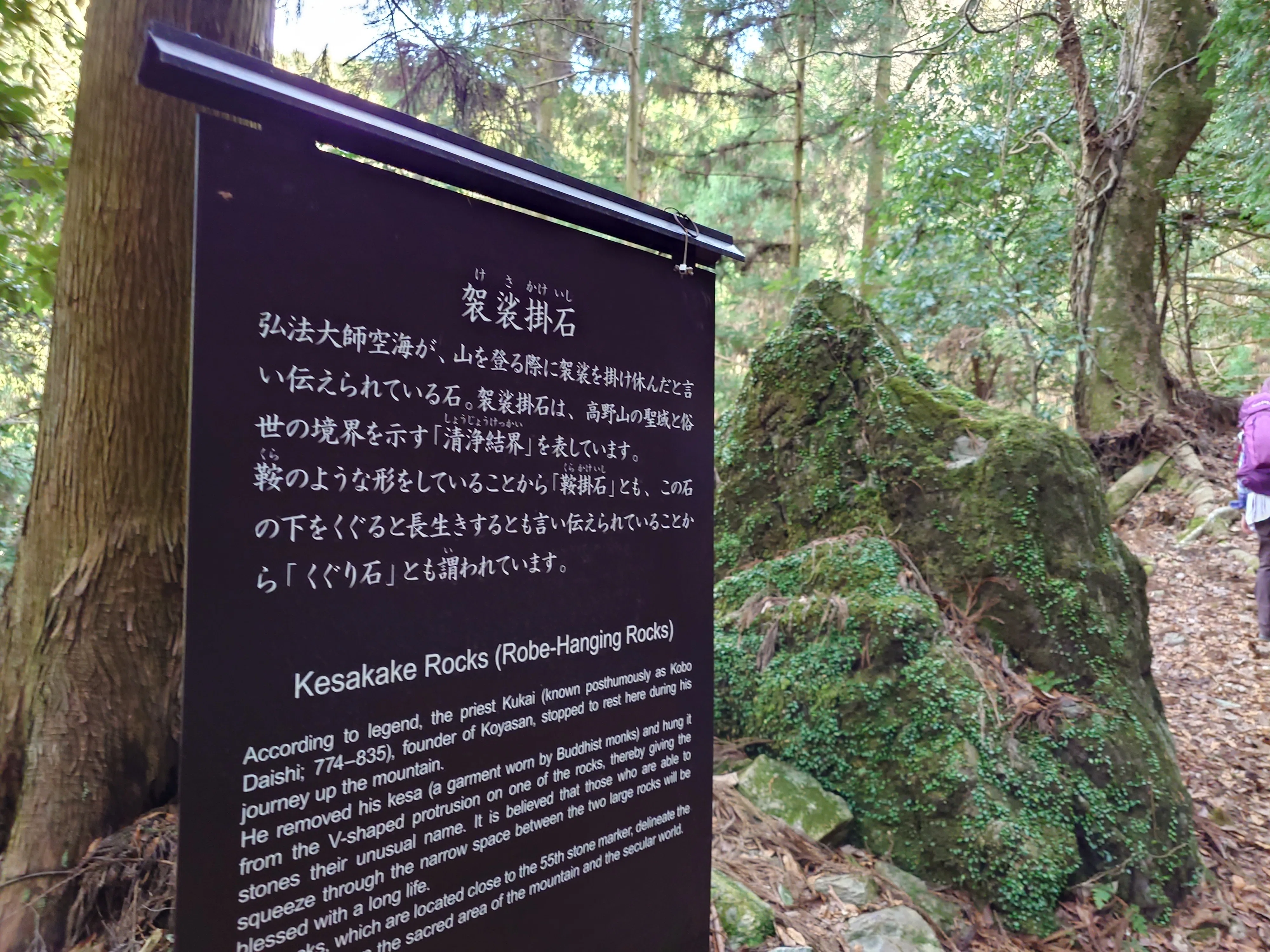 元修行僧が案内する「高野山町石道」前編｜山と仏@山を旅するお坊さん