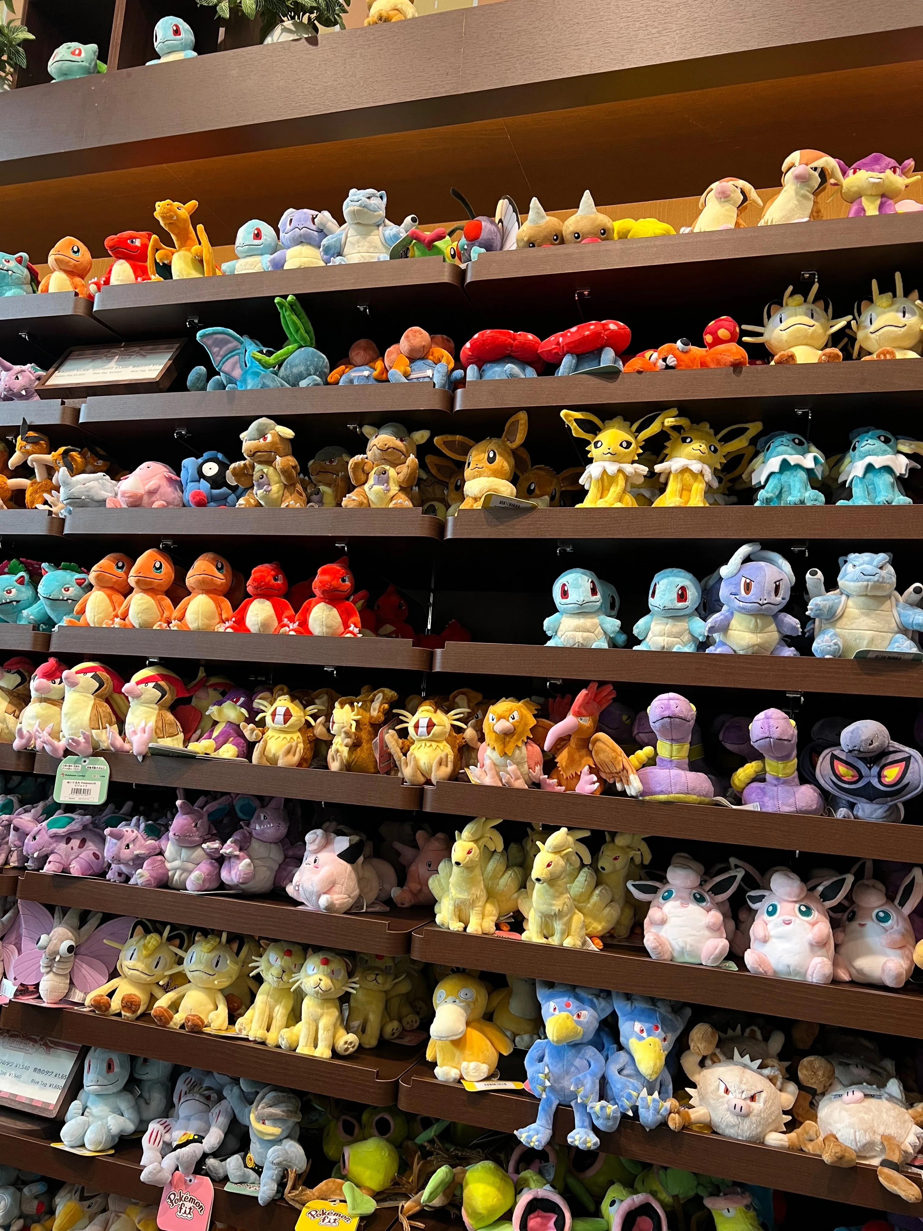 コジロウ　ポケパーク各シート 一人でポケパークに行ってみた｜壱川 碧