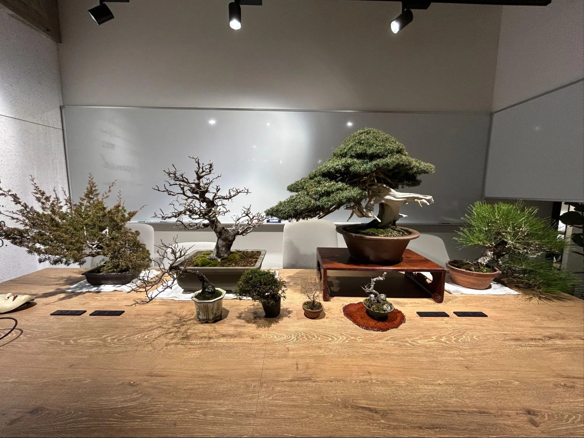 一想　盆栽鉢　早い者勝ち！！ Soil100 VOICE】 日本人が古来より培ってきた『自然に対する想像力』を
