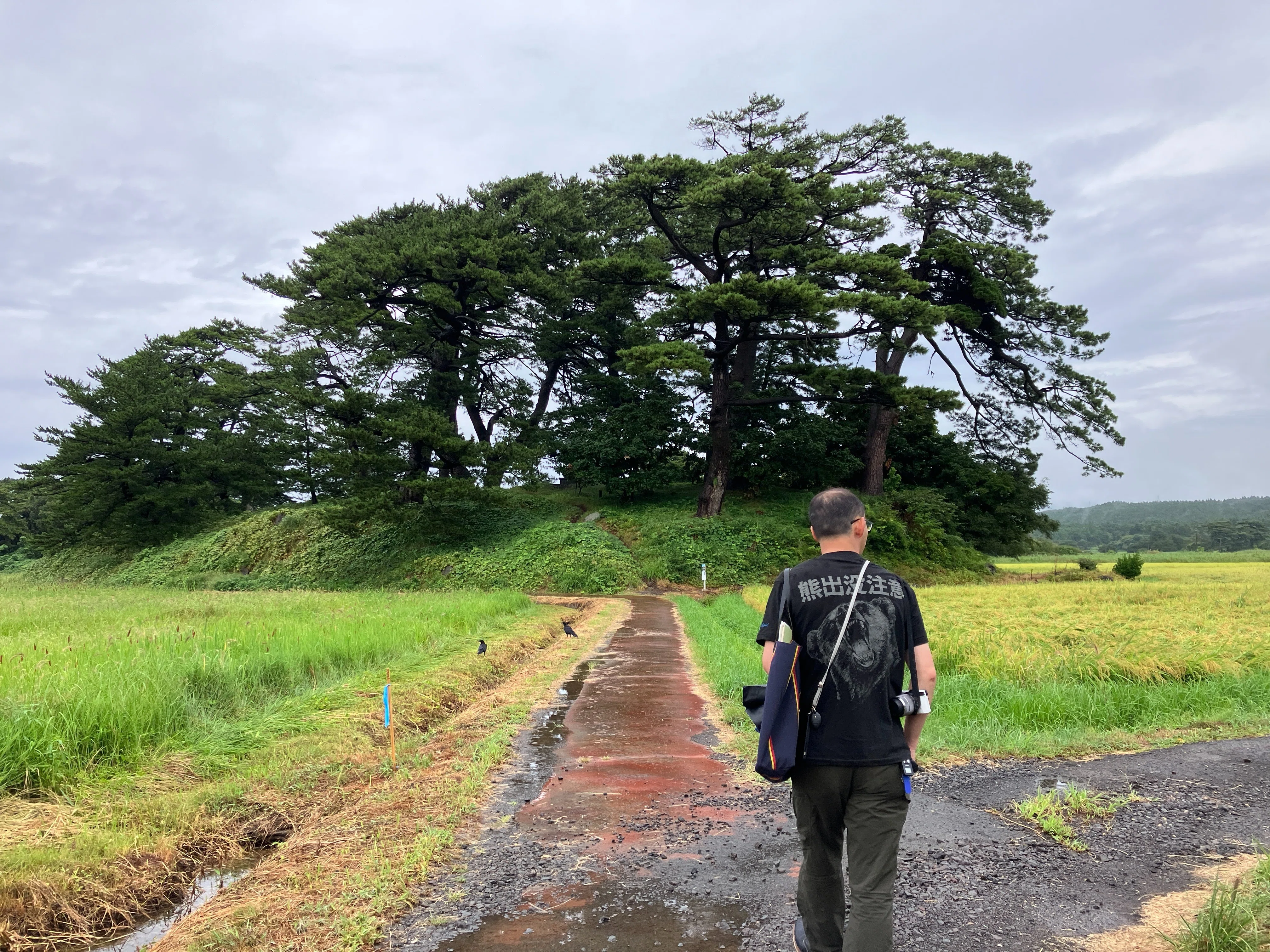日本活火山図鑑vol.22】【鳥海山】鳥海山が育てた水・景観・暮らし