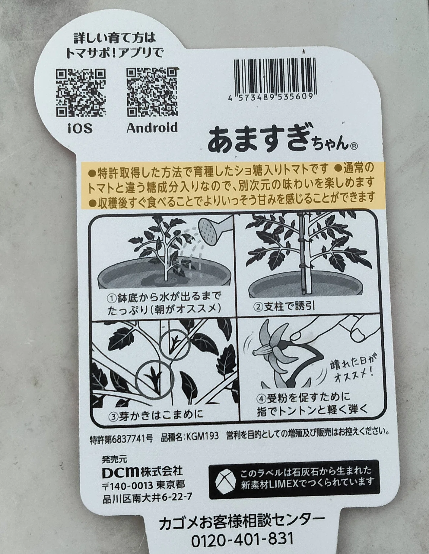 とまとん栽培部】品種選び＆とまとん母さんの2026年最初の苗購入