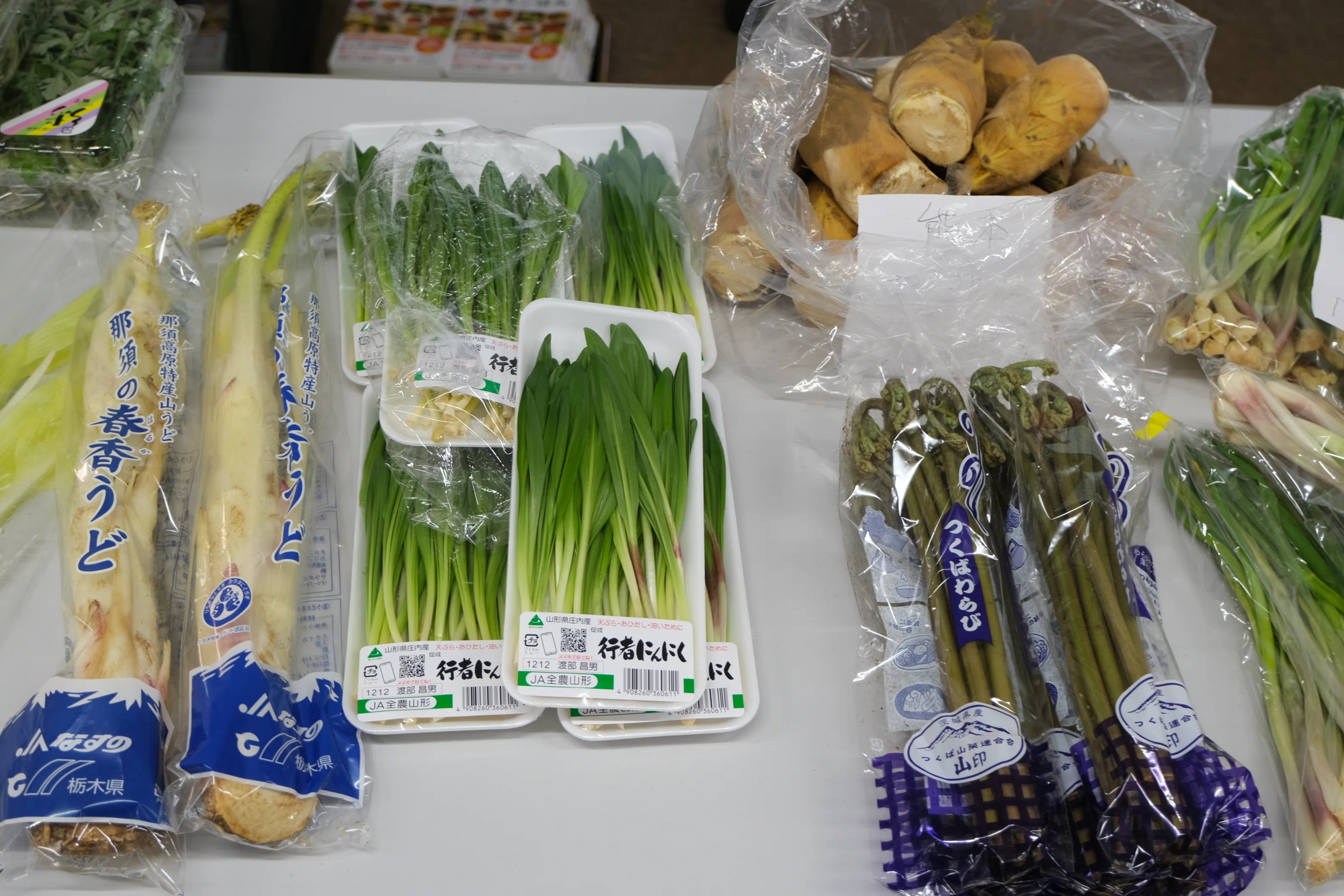八百屋塾レポート】 勉強品目：山菜（2026/3/15開催）｜八百屋塾