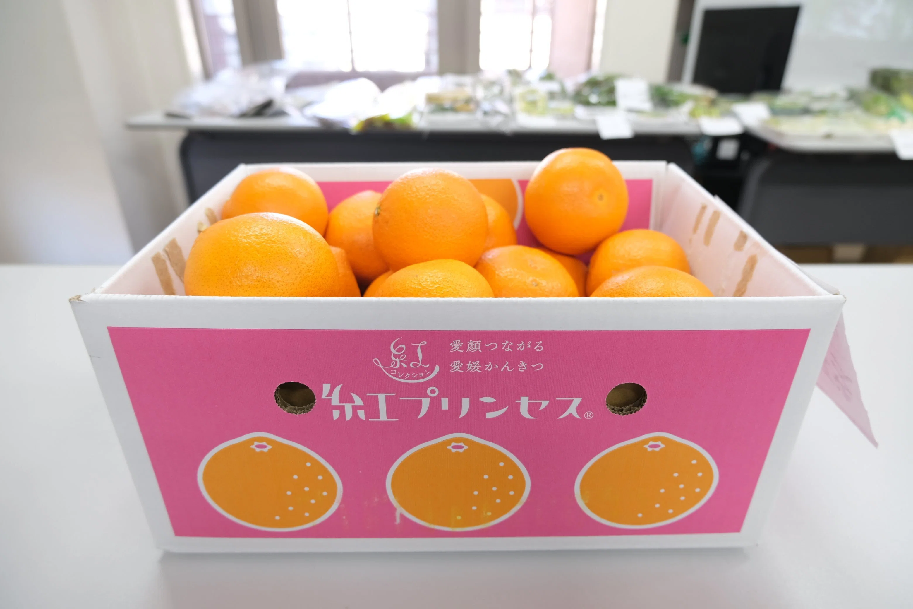 セカンドステージ　ヤイバ プラス 6本セット 青物 丹後 鰤 SecondStage☆～セカンドステージ オフショア ジギング