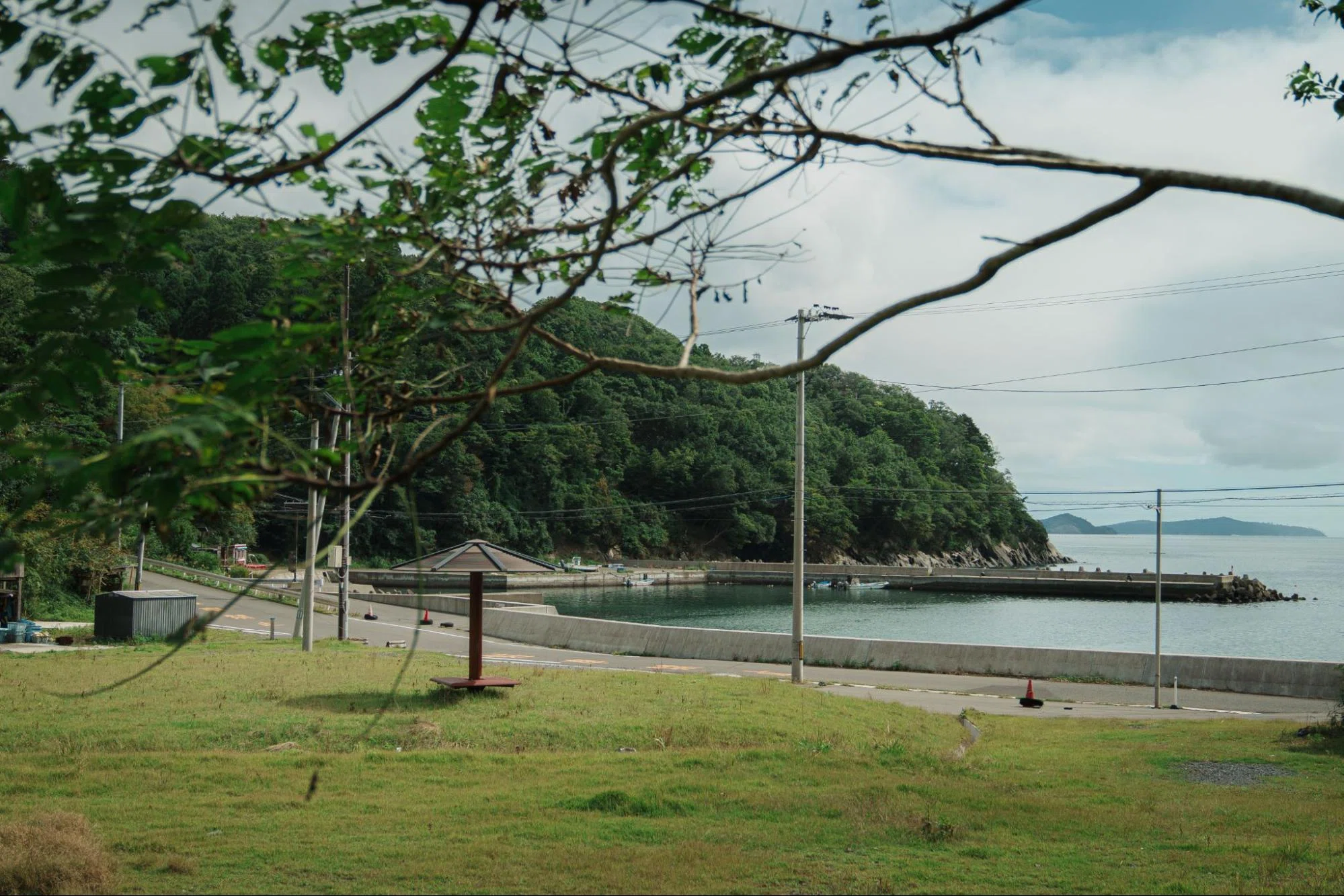 森と海の関係を考える、沢活のすゝめ｜FISHERMAN JAPAN 