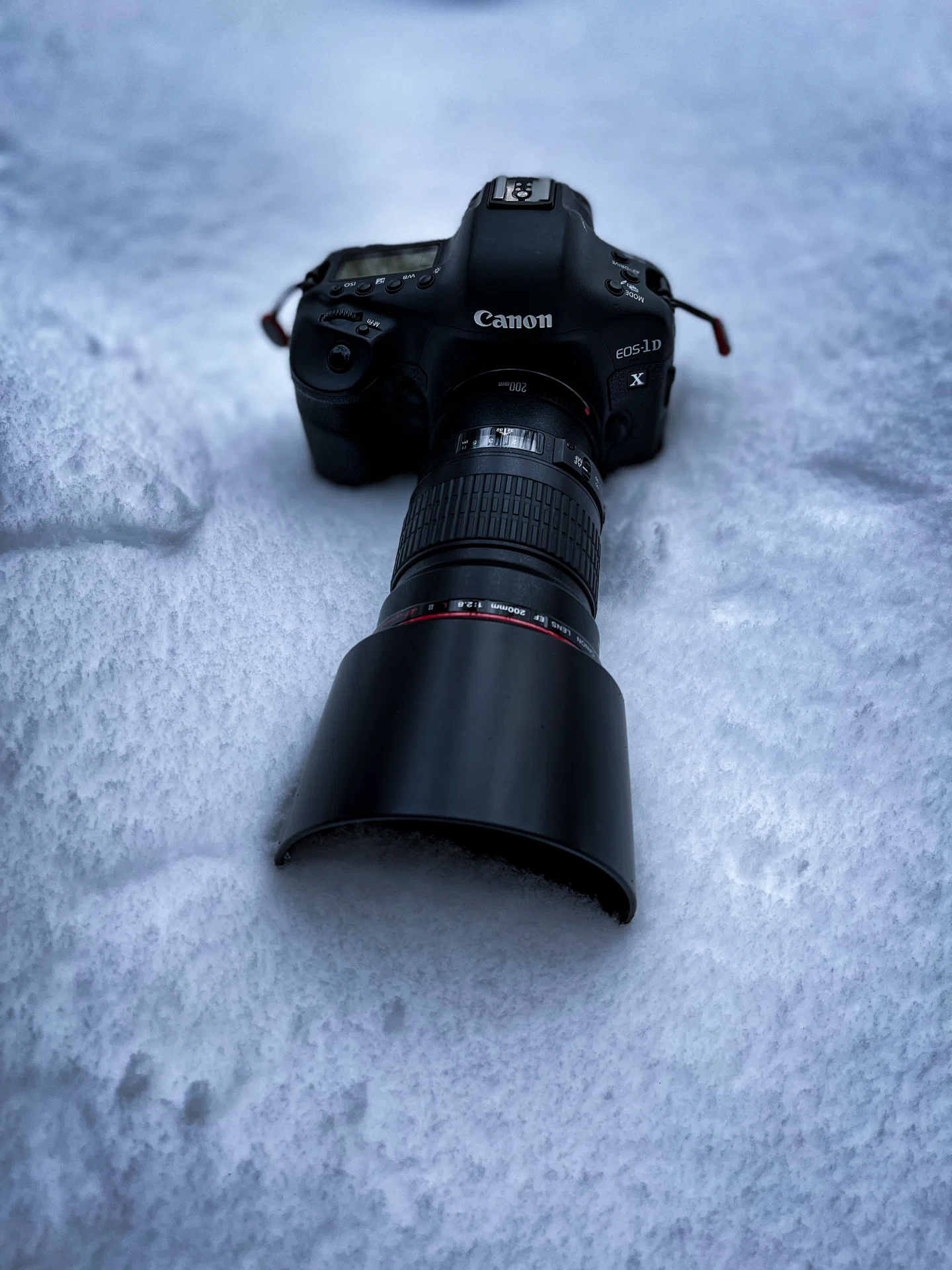 2026年】結論ミラーレスカメラはEOS R6 MarkⅡ・α7Ⅵ・Z5Ⅱの3機種が
