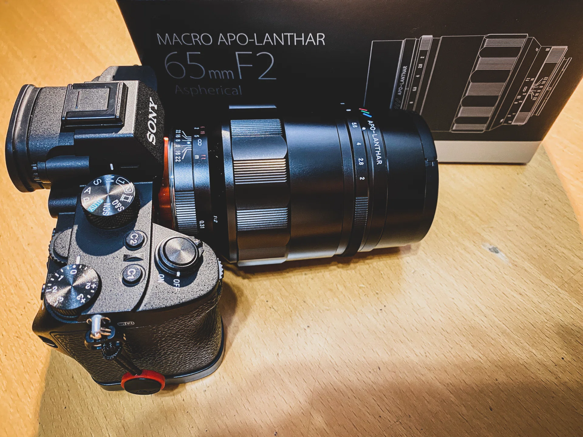 2026年】結論ミラーレスカメラはEOS R6 MarkⅡ・α7Ⅵ・Z5Ⅱの3機種が 