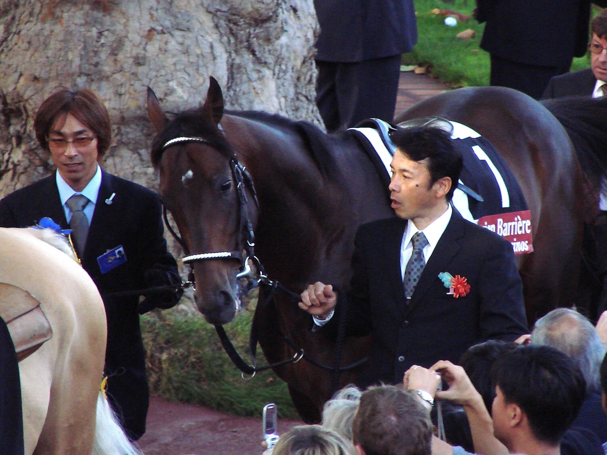 ディープインパクトの凱旋門賞（GⅠ、2006年）挑戦｜平松さとし