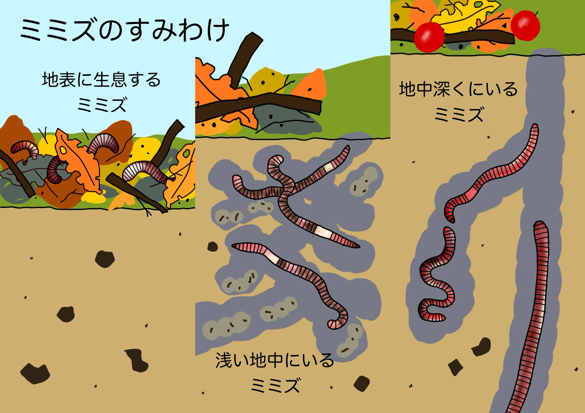ミミズって何のために生きているんすかね。——知れば知るほど、なくては