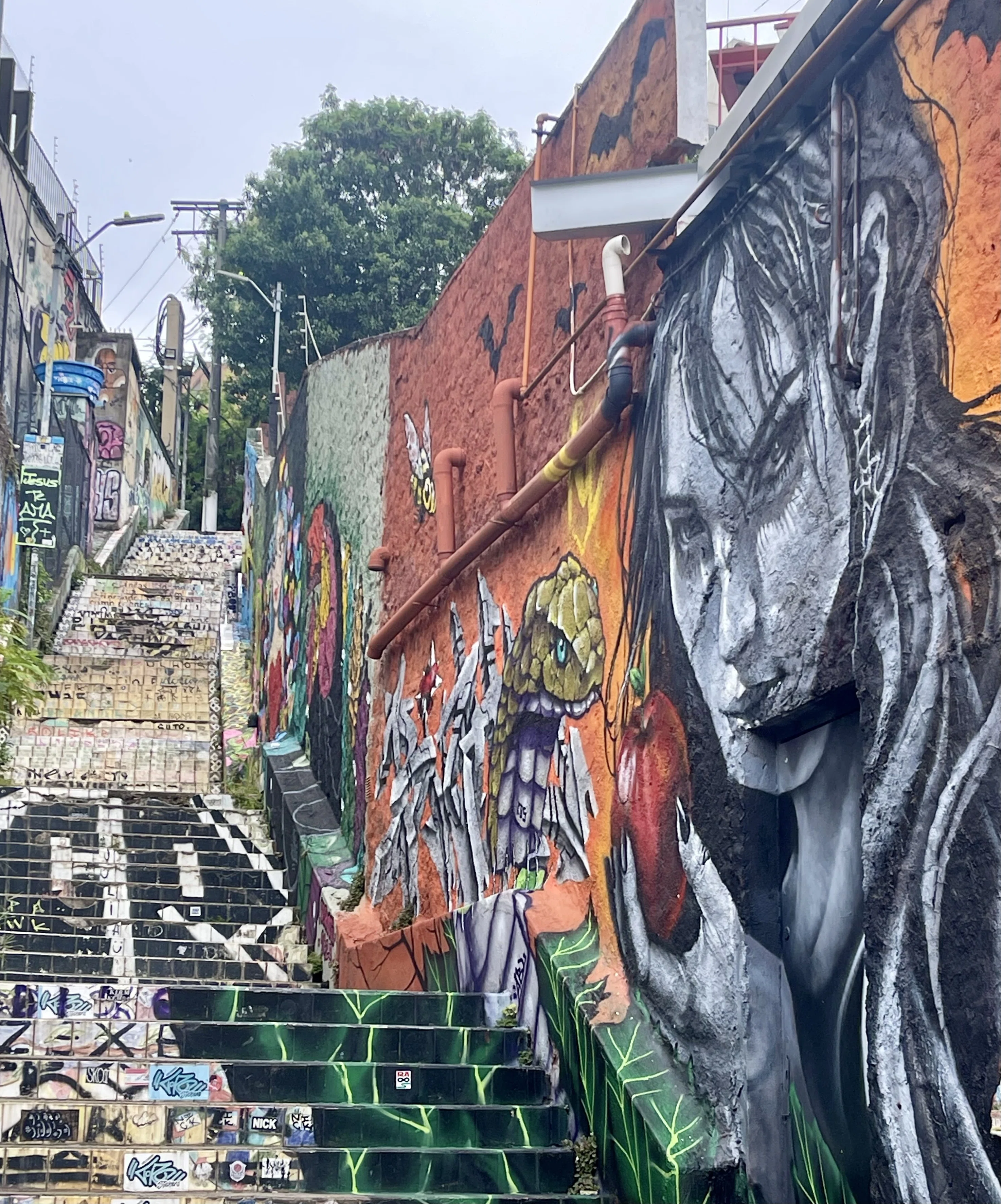 南米6国の旅 (5) ブラジル🇧🇷｜金春