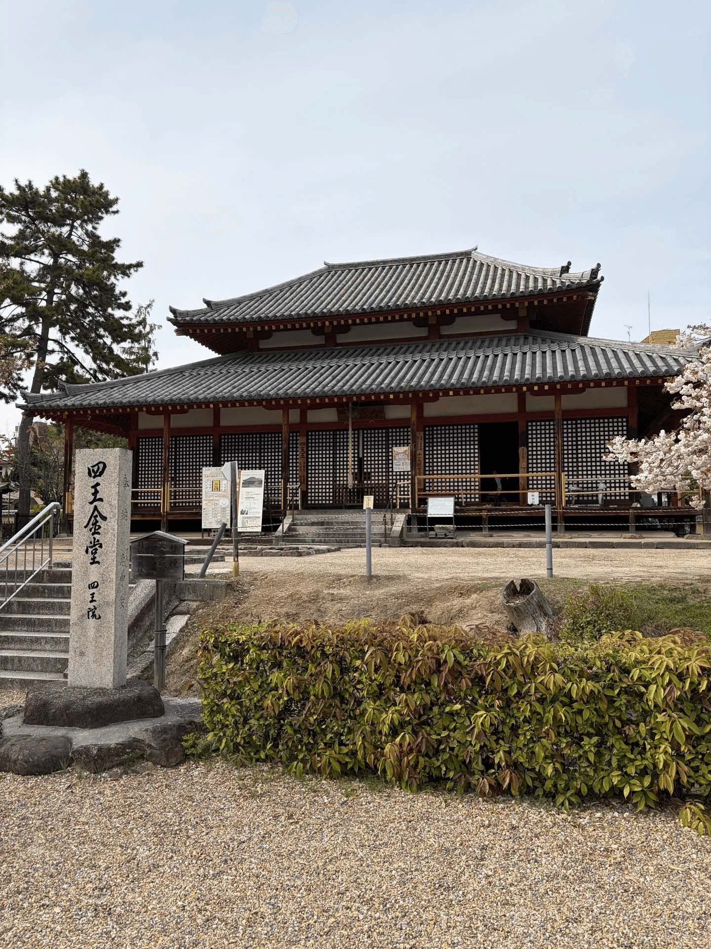 西大寺流四度口決 西大寺 ～一味和合の精神が込められた大茶盛～｜Sun-Tah