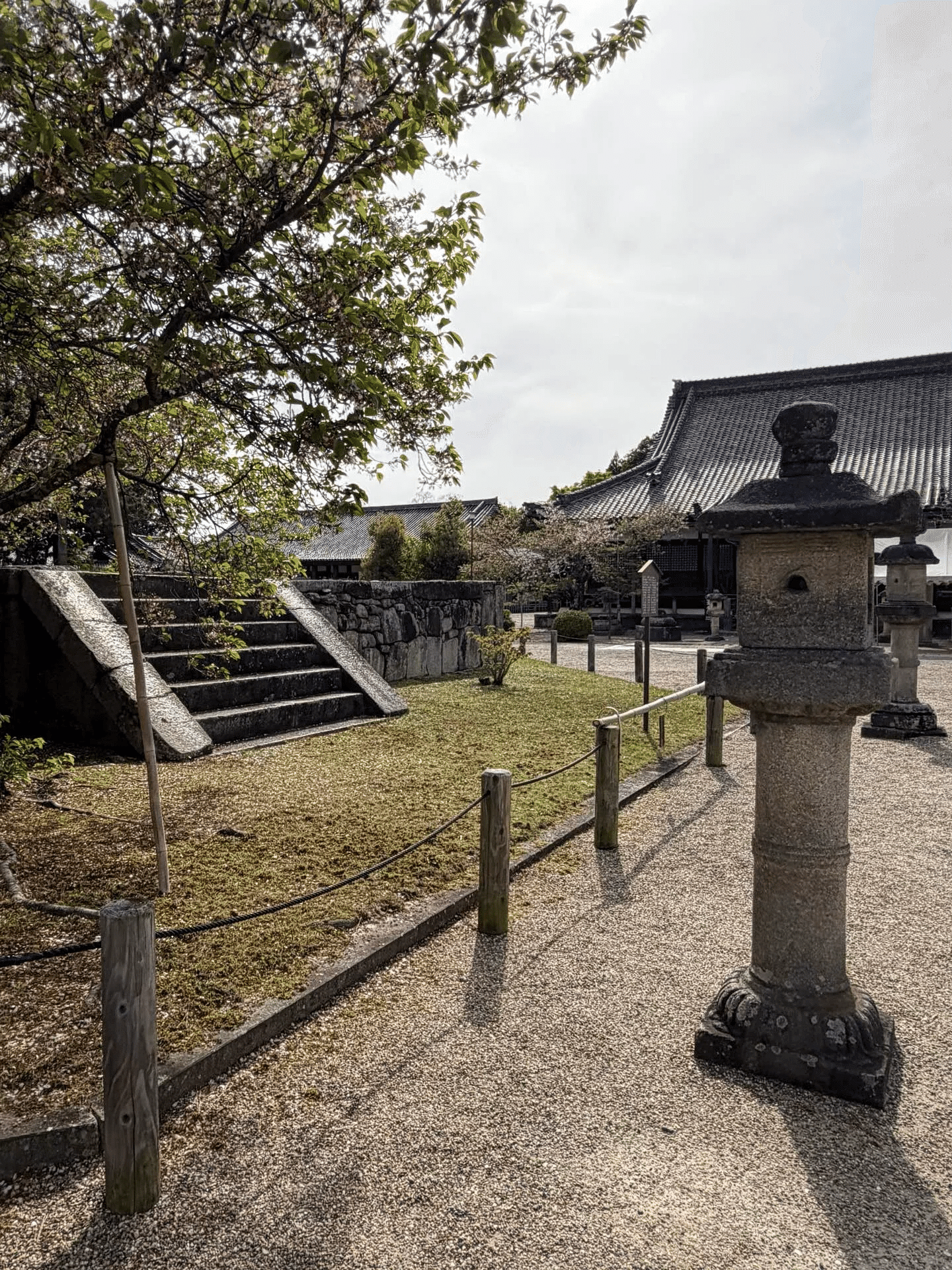 西大寺流四度口決 西大寺 ～一味和合の精神が込められた大茶盛～｜Sun-Tah