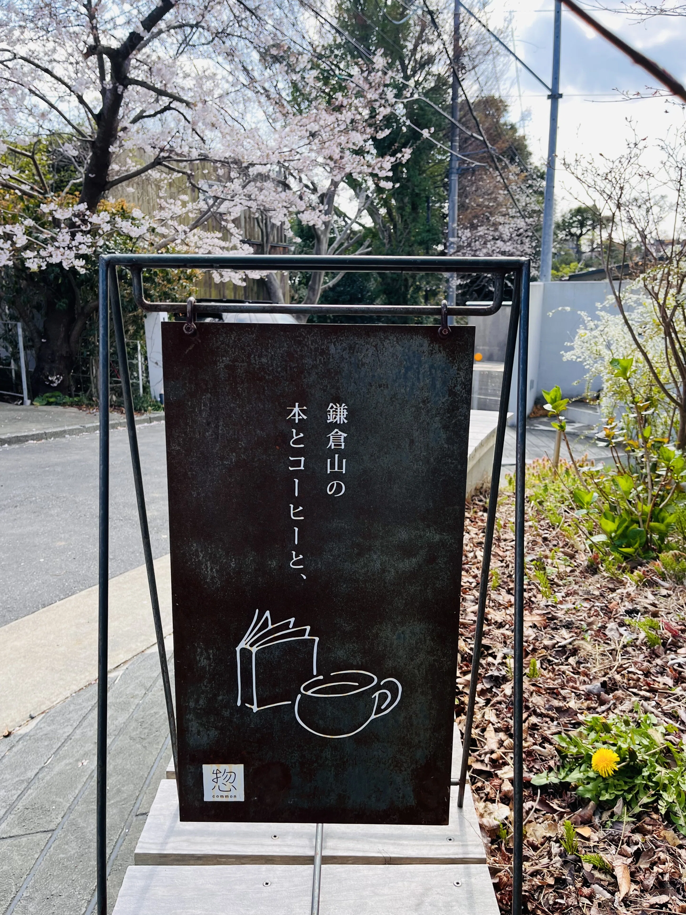 山田秋坪　花図　箱なし　MA910 山桜を眺めながら 自分の身体くらい自分で守りたい｜たまこ