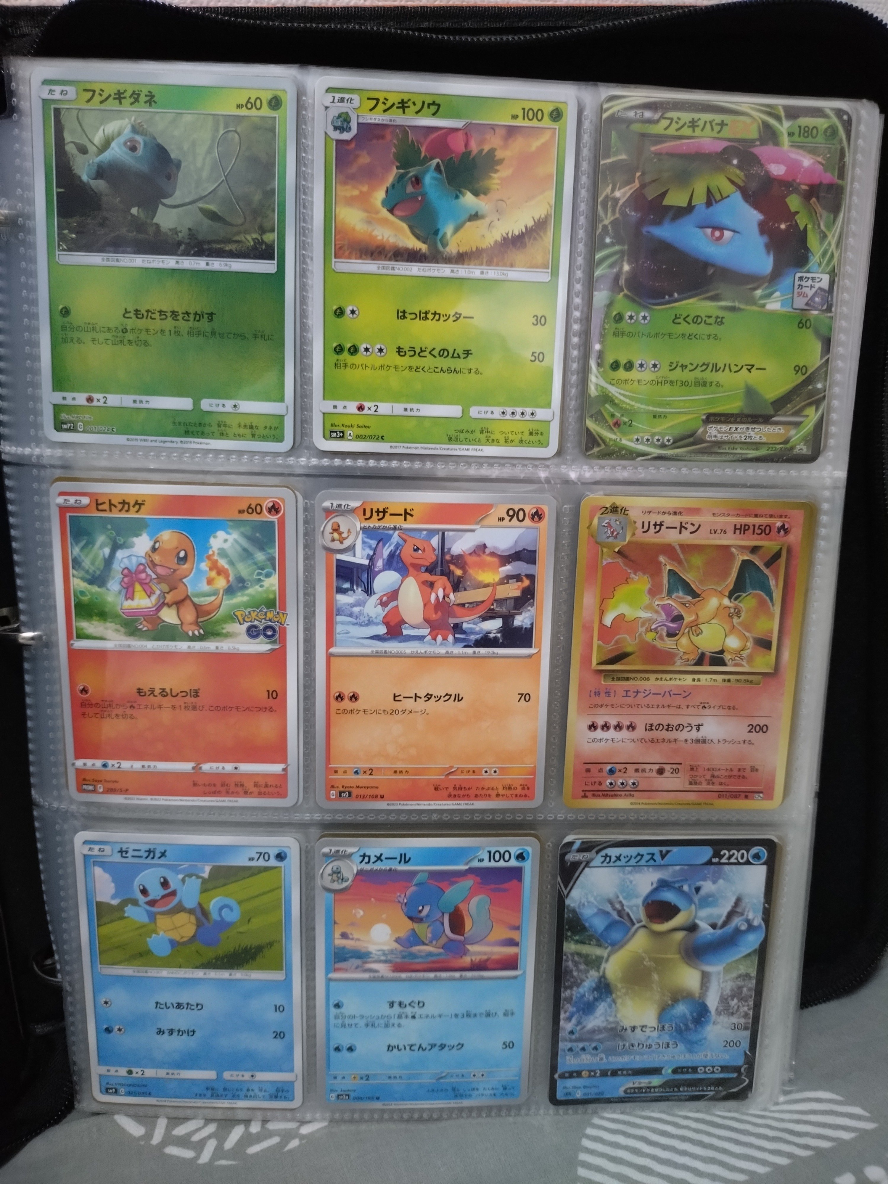 ポケモンずかんカード まとめ 179枚 ポケモン】ポケカ全国図鑑を作りましたよ👺｜テイクですよ。