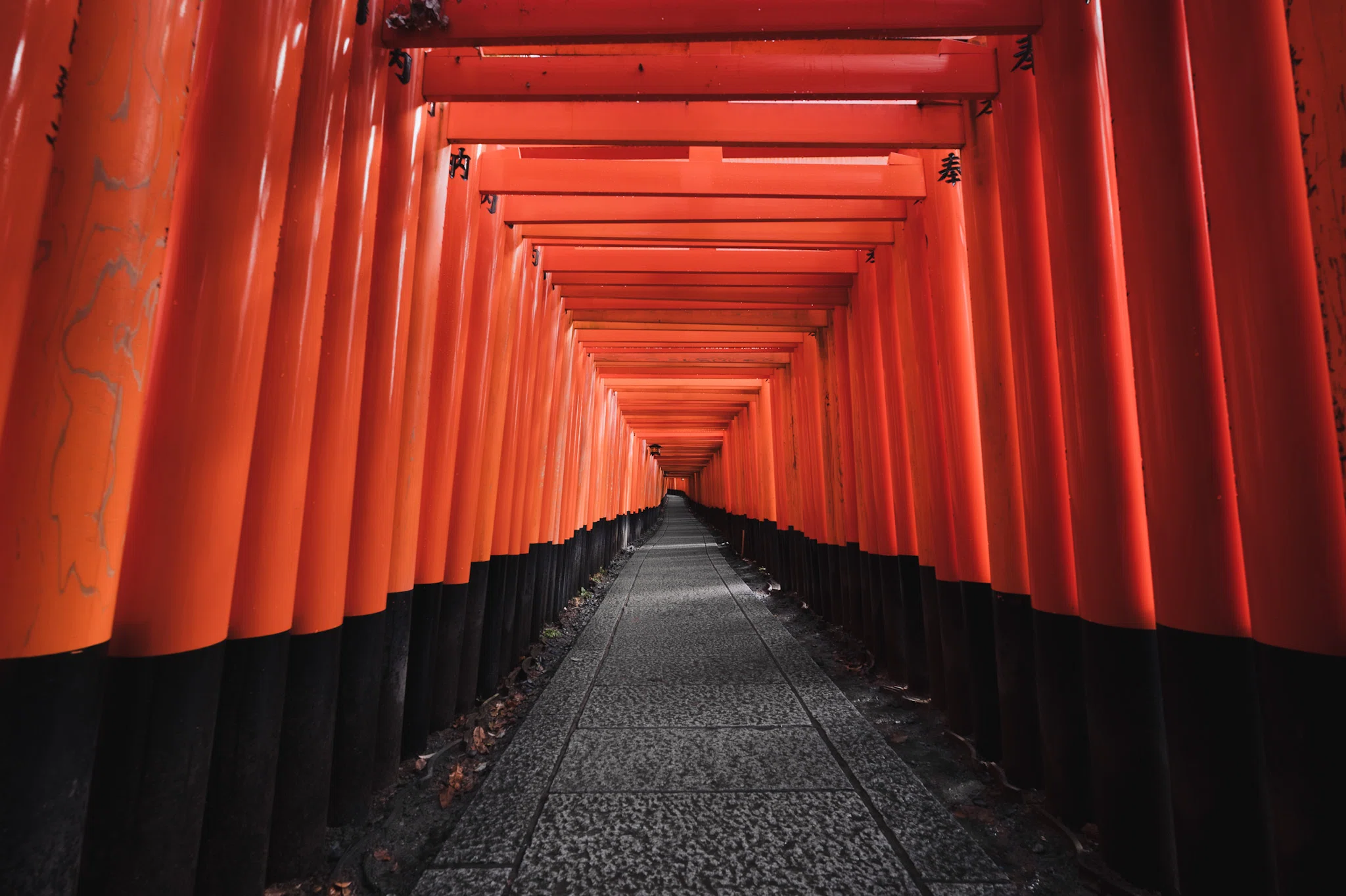 SIGMA 14-24mm F2.8 DG DN Art レビュー｜写真にアクセントを生む”非