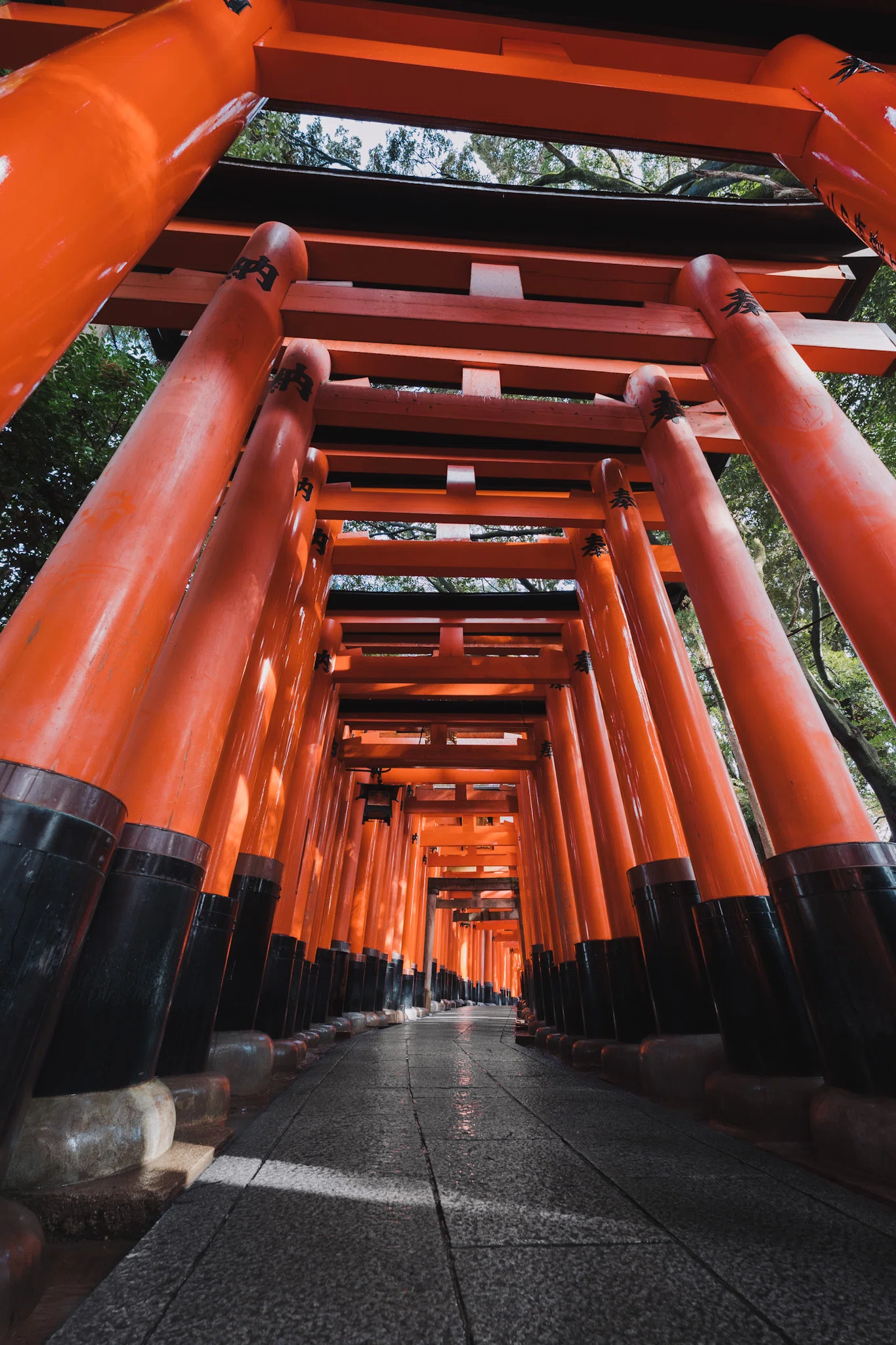SIGMA 14-24mm F2.8 DG DN Art レビュー｜写真にアクセントを生む”非