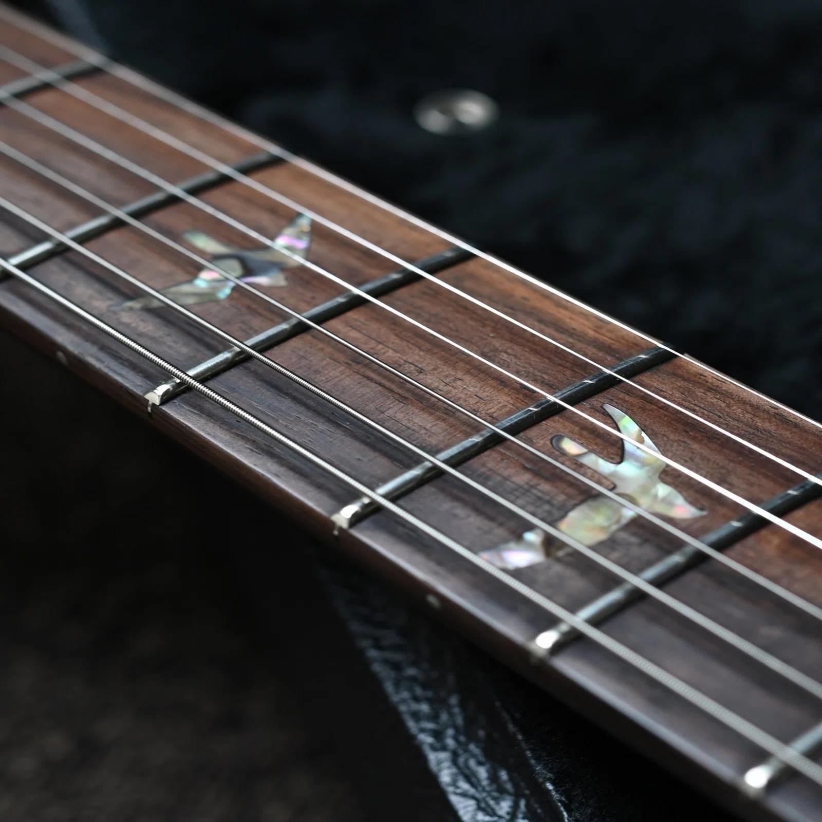 Modern Eagleの誕生前夜に。 - PRS Singlecut Brazilian Rosewood Neck 