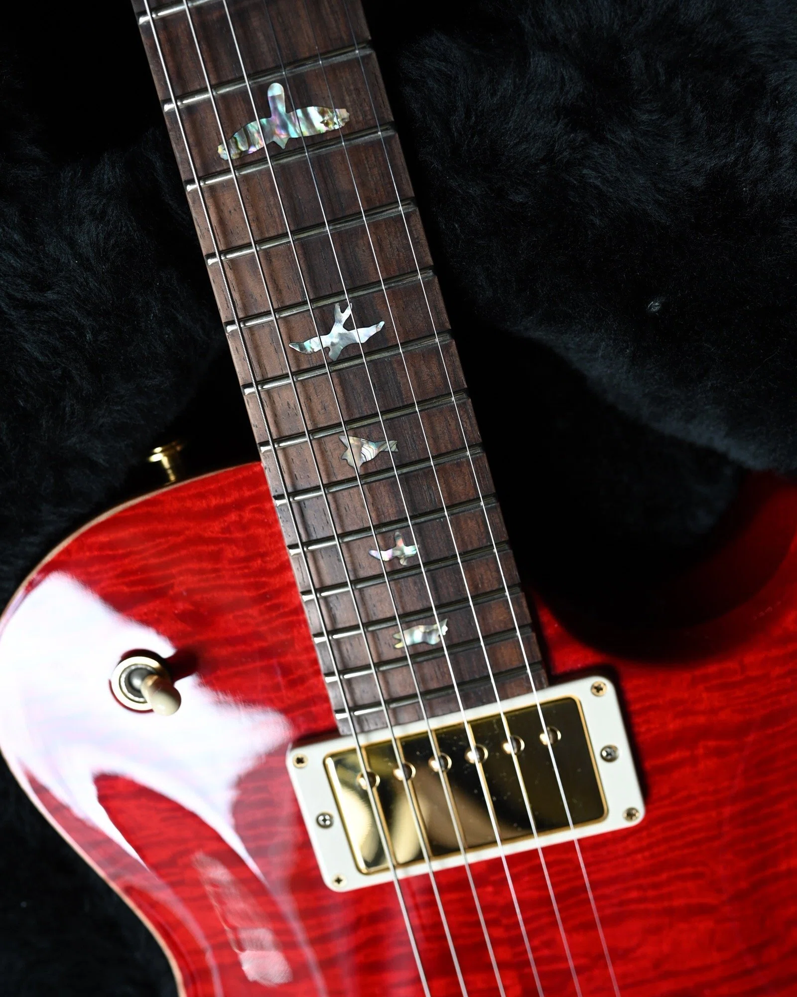 Modern Eagleの誕生前夜に。 - PRS Singlecut Brazilian Rosewood Neck