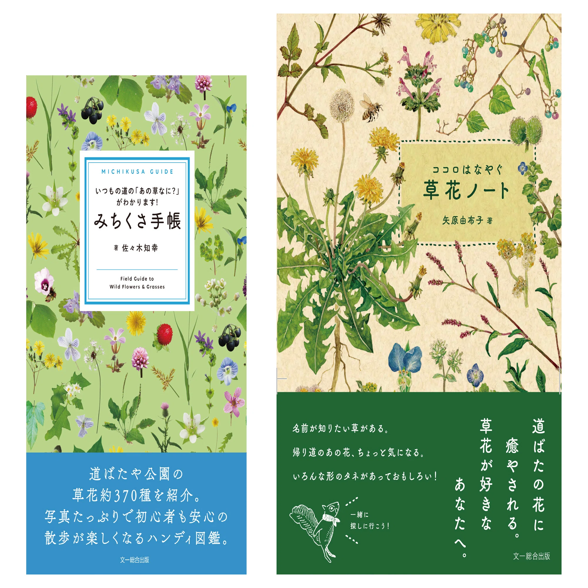 みちくさ写真Instagramキャンペーン（終了しました）｜ブンイチ（文一 道草さま確認用