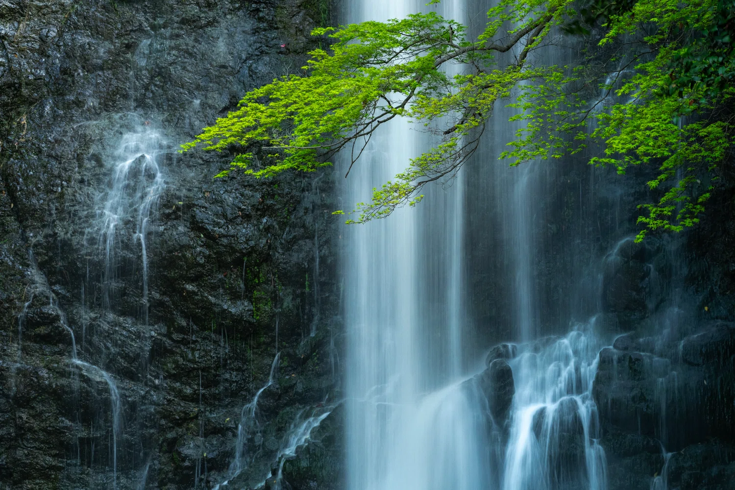 瑞々しい新緑に誘われて 箕面大滝 変わりゆく景色と変わらぬ景色｜hana