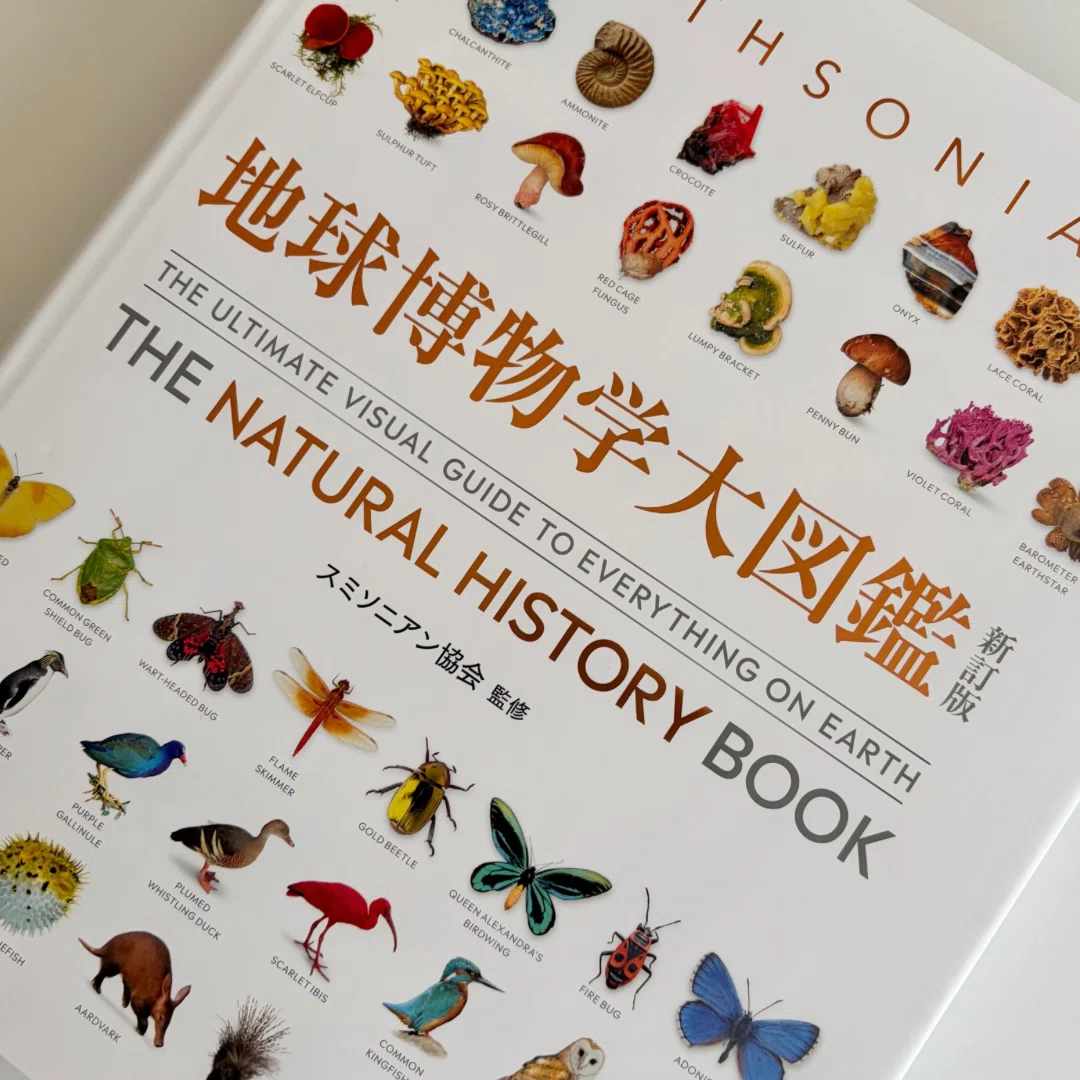 1万円で家に博物館を持つ。最高の図鑑を買いました。【地球博物学大