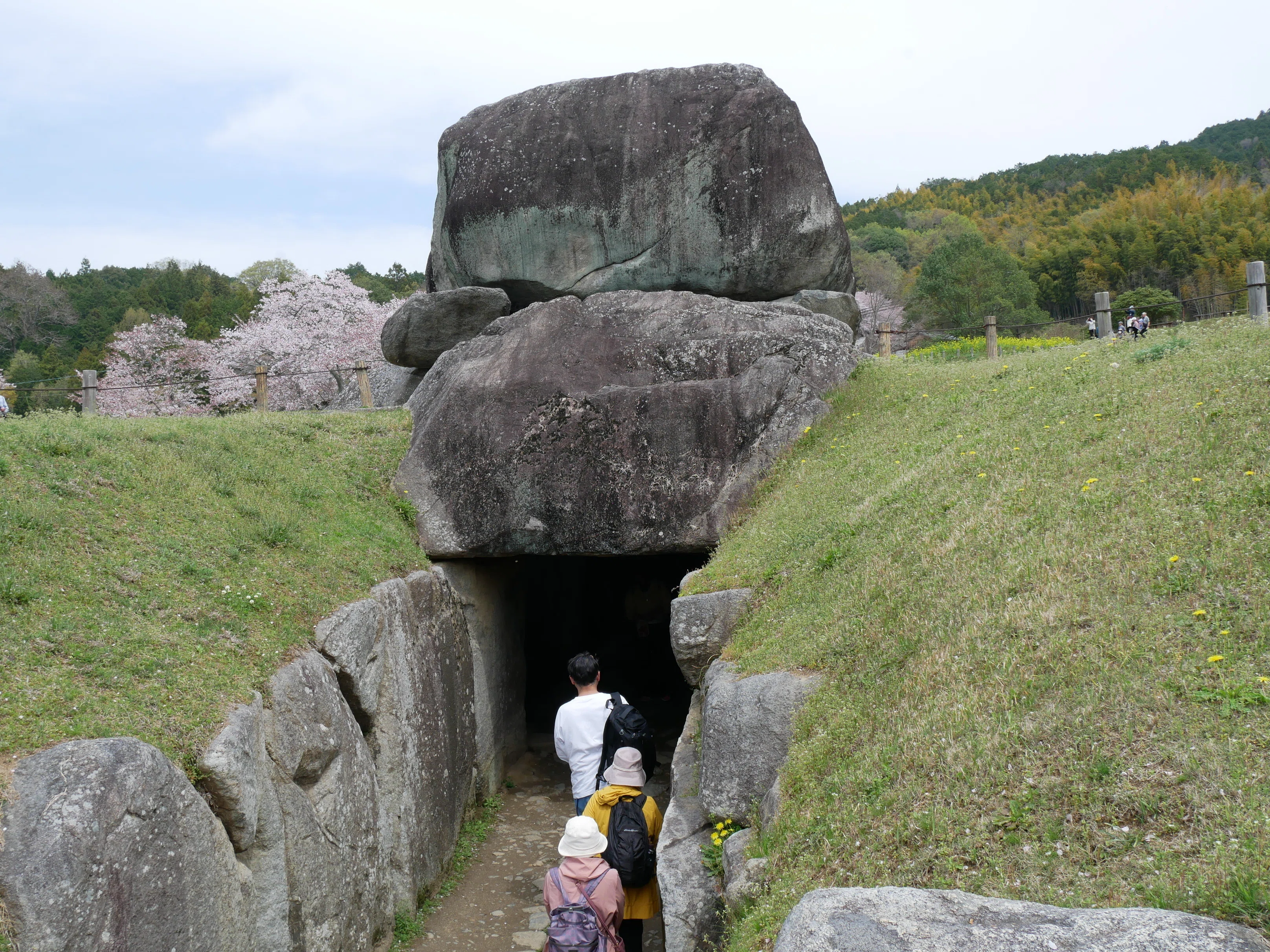 682 石舞台古墳、春の光景──桜と菜の花が彩る明日香の里|揺蕩う旅人 682 石舞台古墳、春の光景──桜と菜の花が彩る明日香の里|揺蕩う旅人