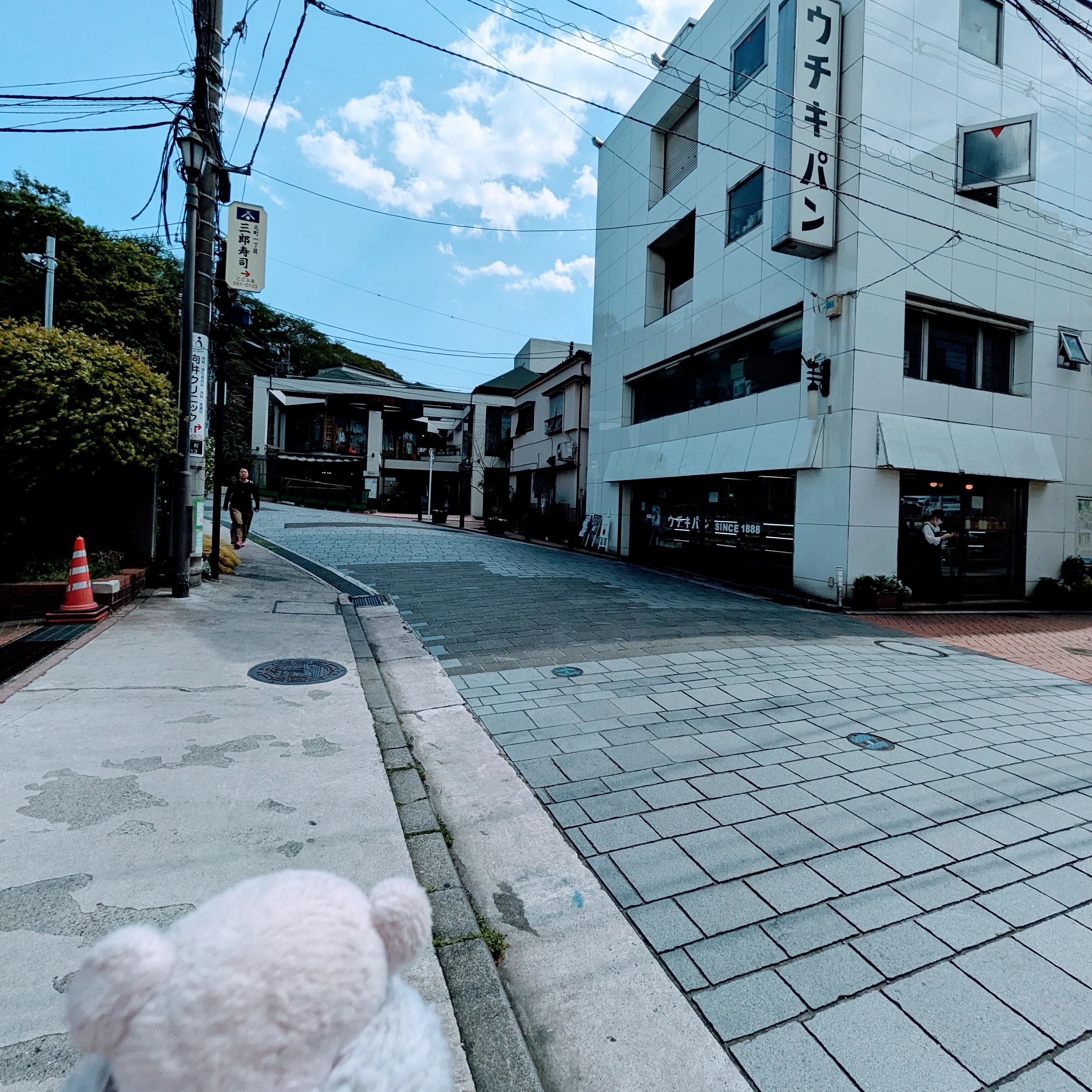 横浜写んぽ】大佛次郎記念館で触れる、あたたかな猫愛の記憶｜さやかと