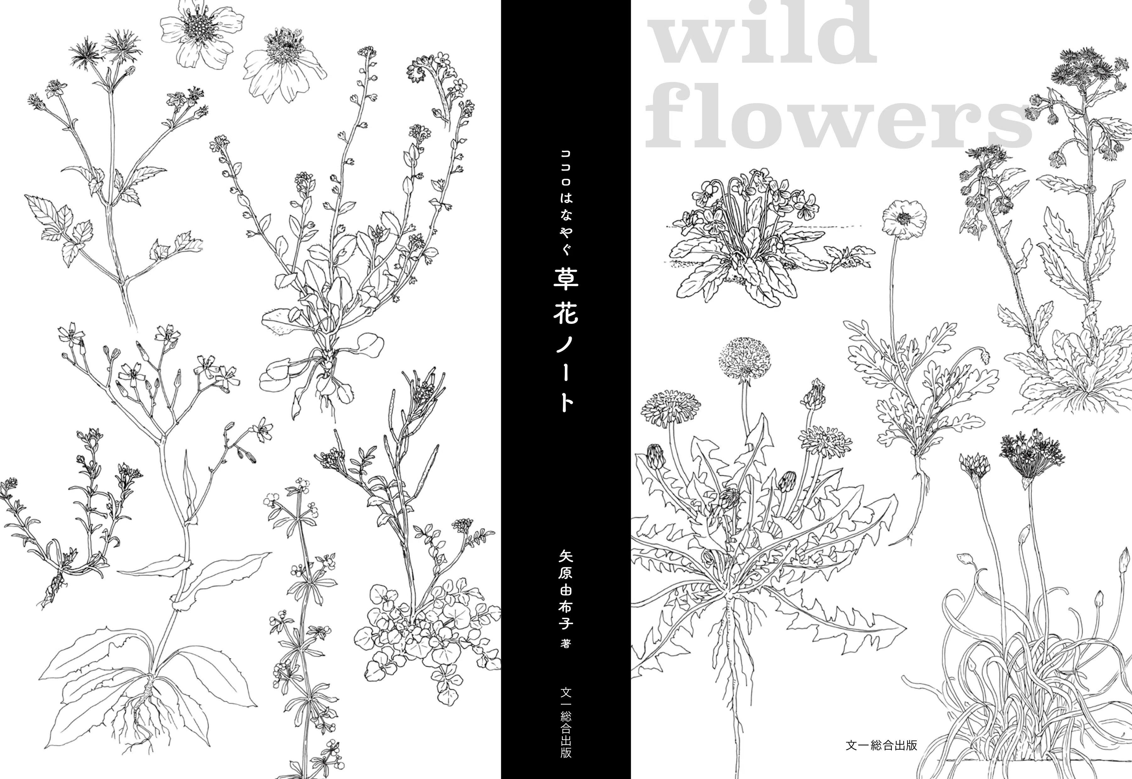 足もとの草に癒やされる。『ココロはなやぐ 草花ノート』ができました