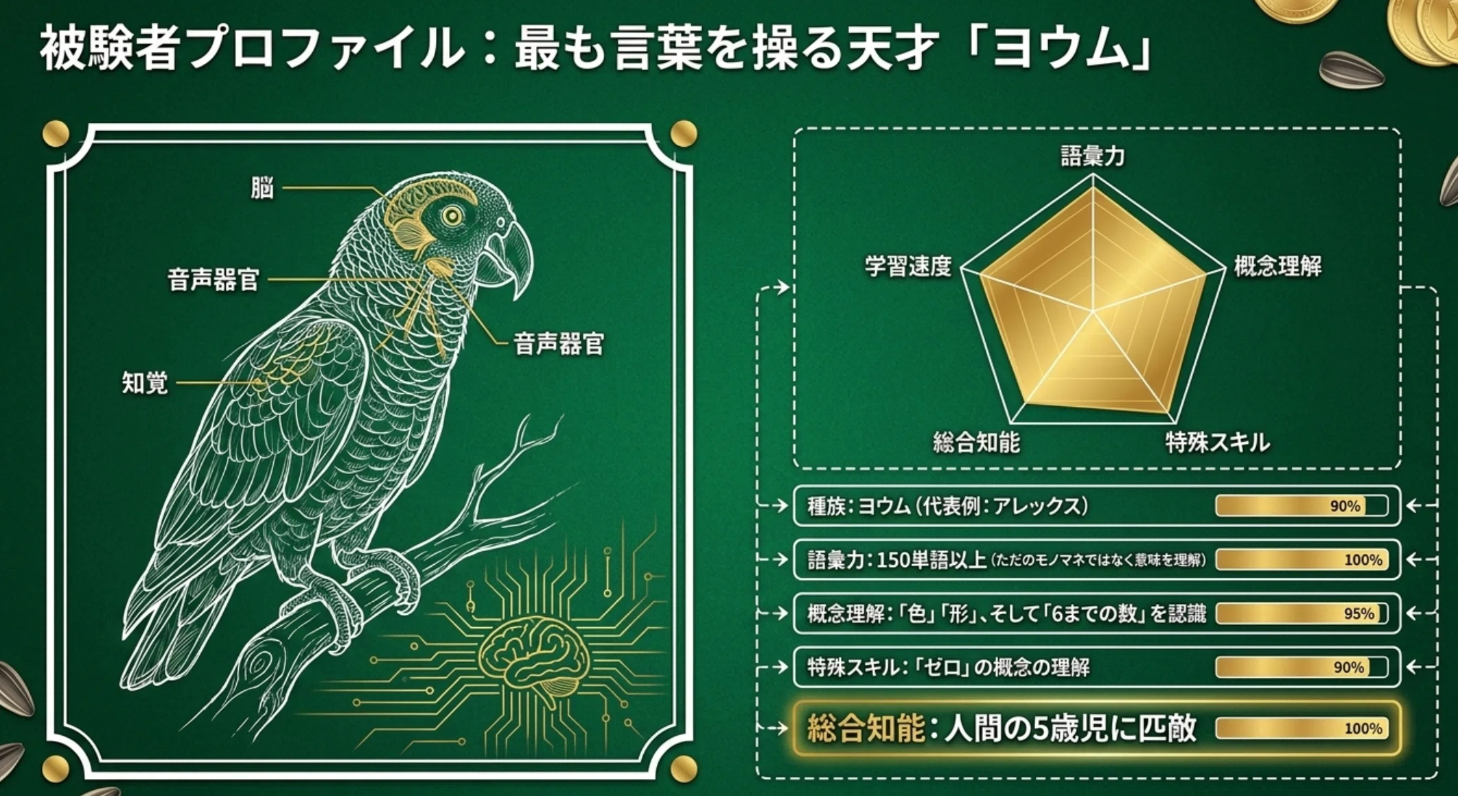 公の場での発言・インタビュー報道記録