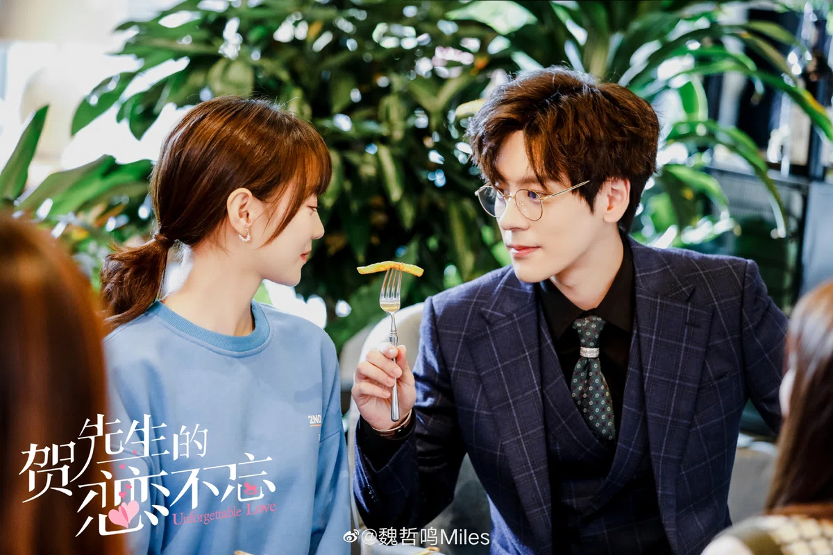 《賀先生的恋恋不忘》視聴感想|chiko