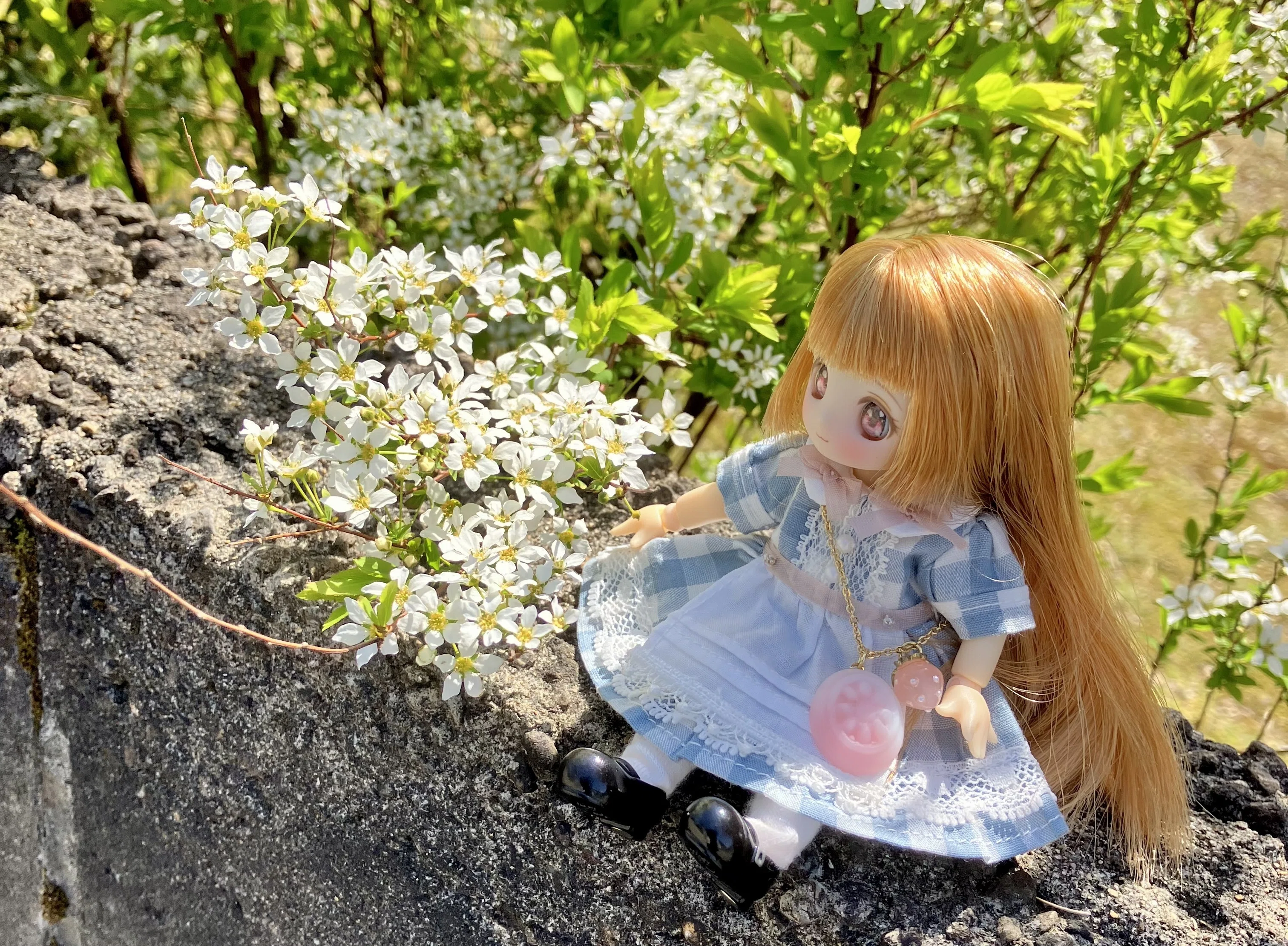 ドールの野外撮影！春のお花と撮りました｜朝火